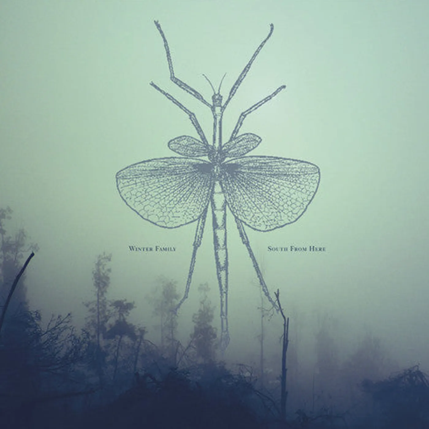 Winter Family LP Vinyl - South From Here