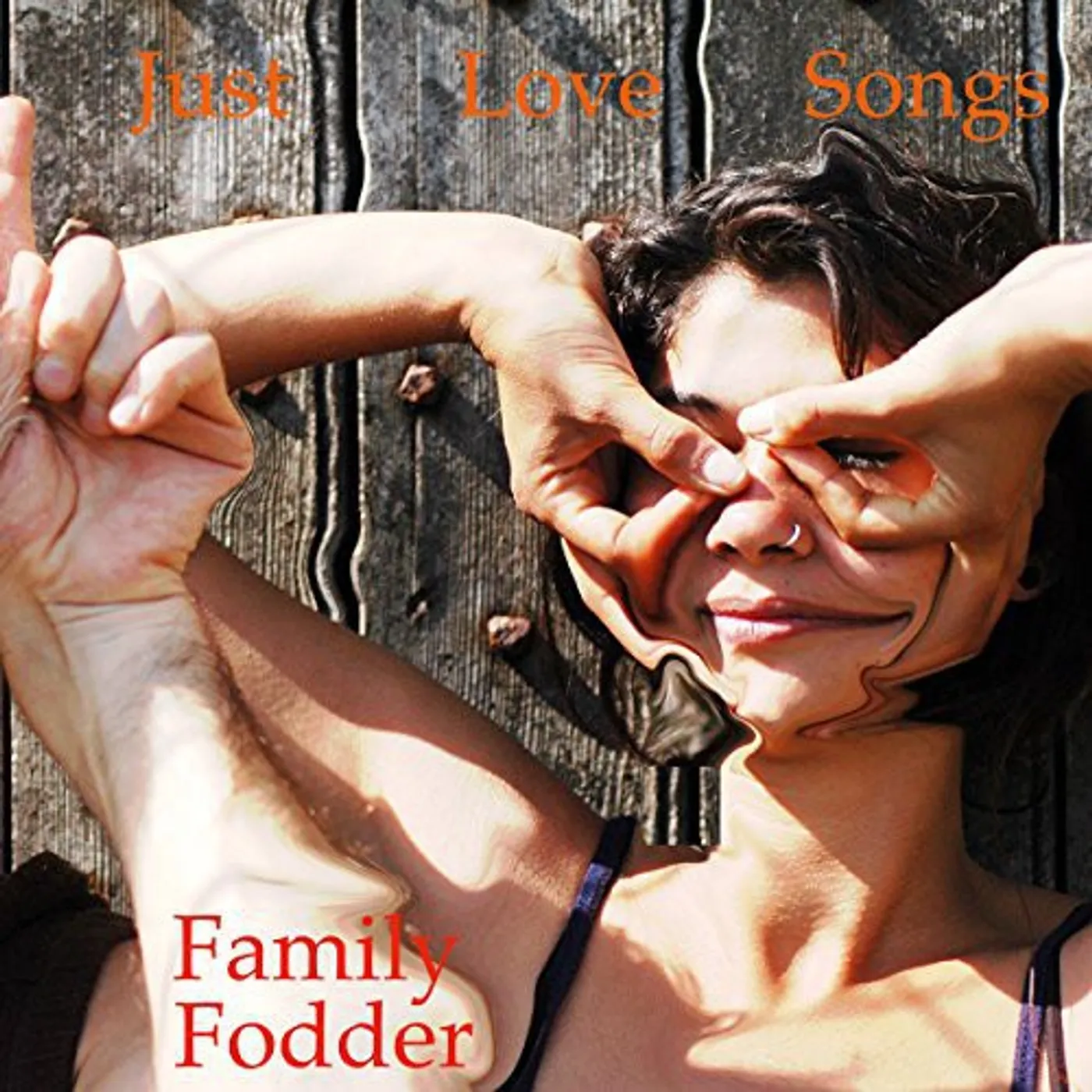 Family Fodder LP Vinyl - Just Love Songs