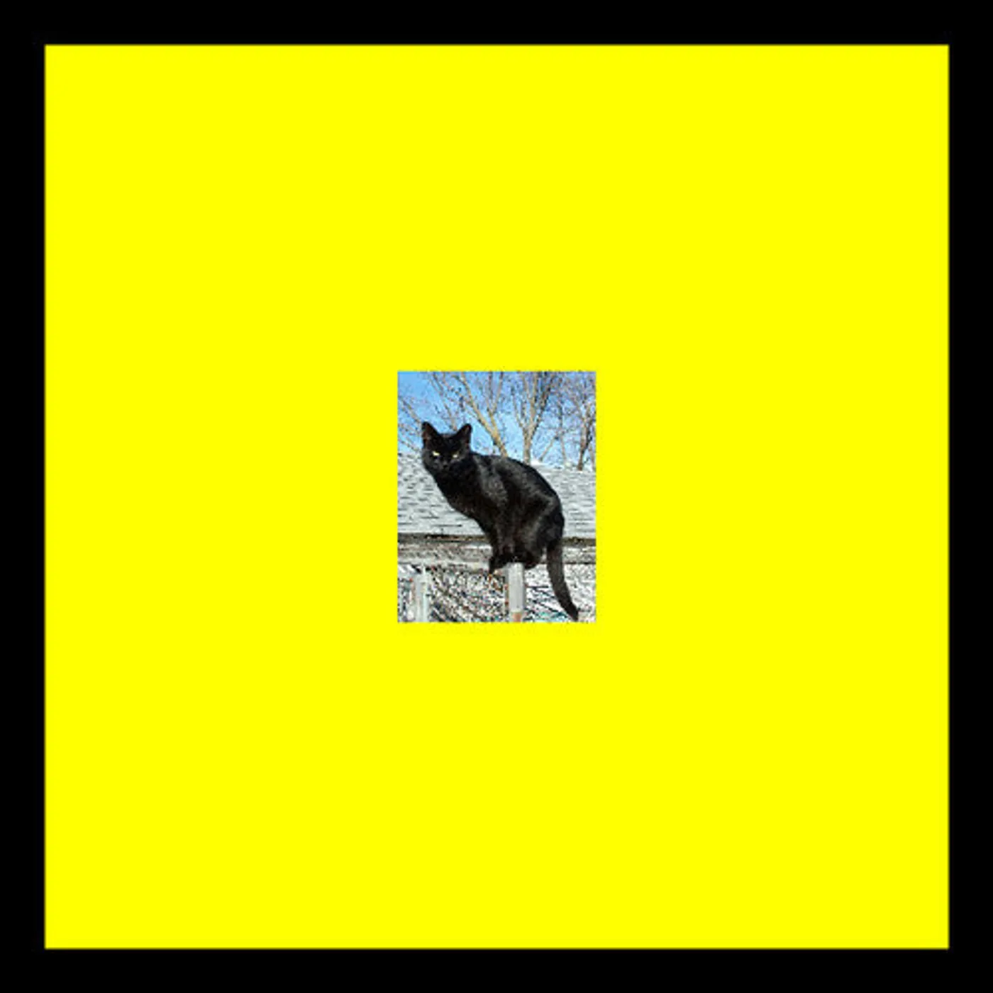 Pitto LP Vinyl - Panthers On The Roof (Ep)