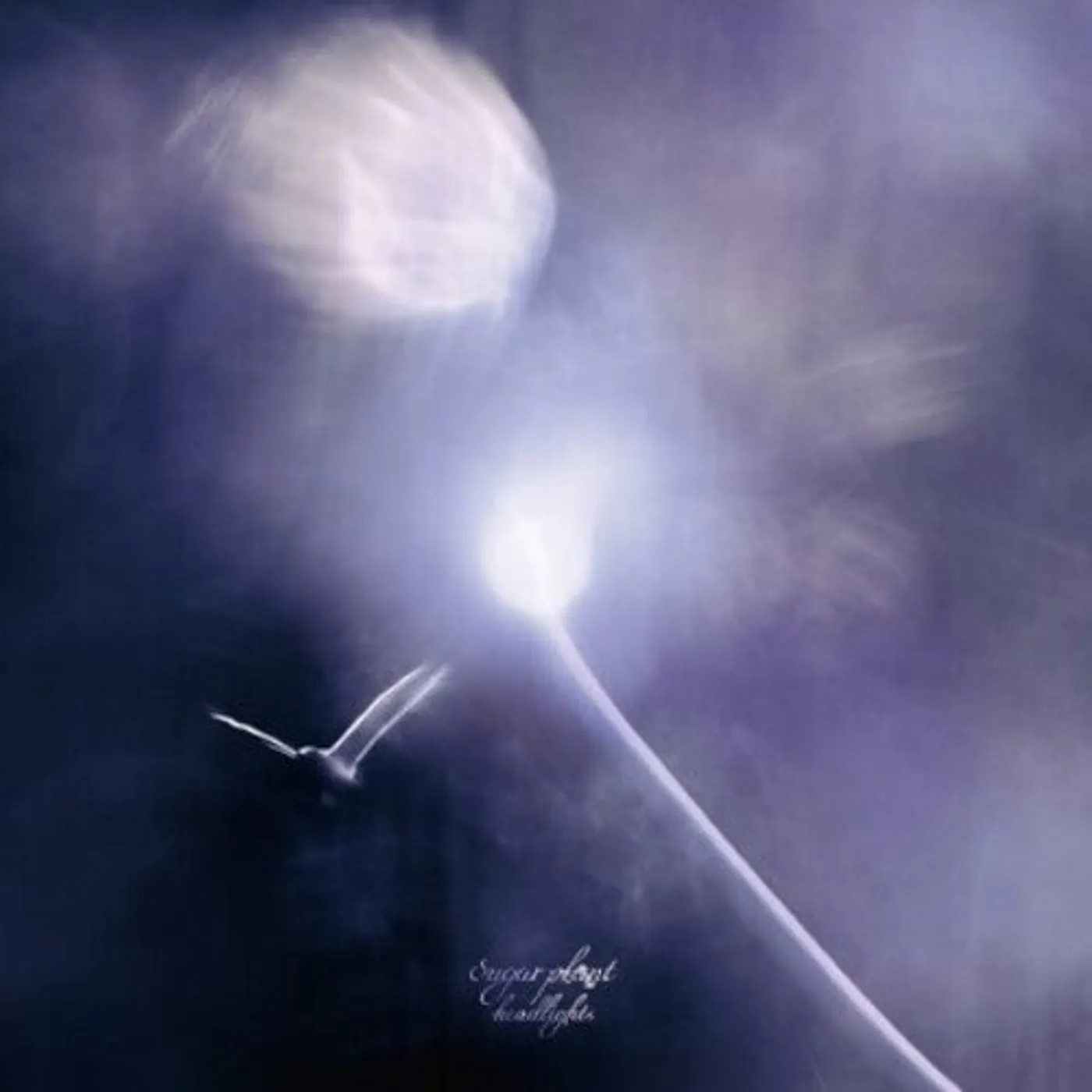 Sugar Plant LP Vinyl - Headlights