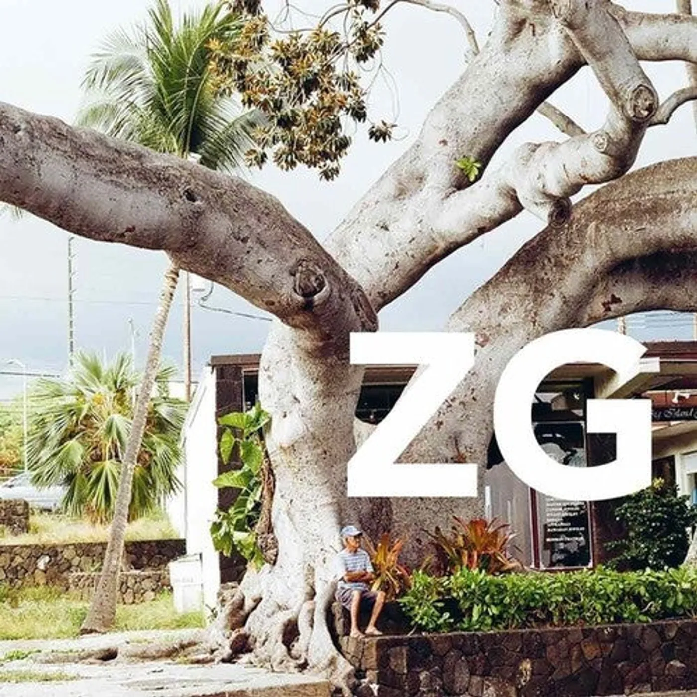 Zg LP Vinyl - Zg