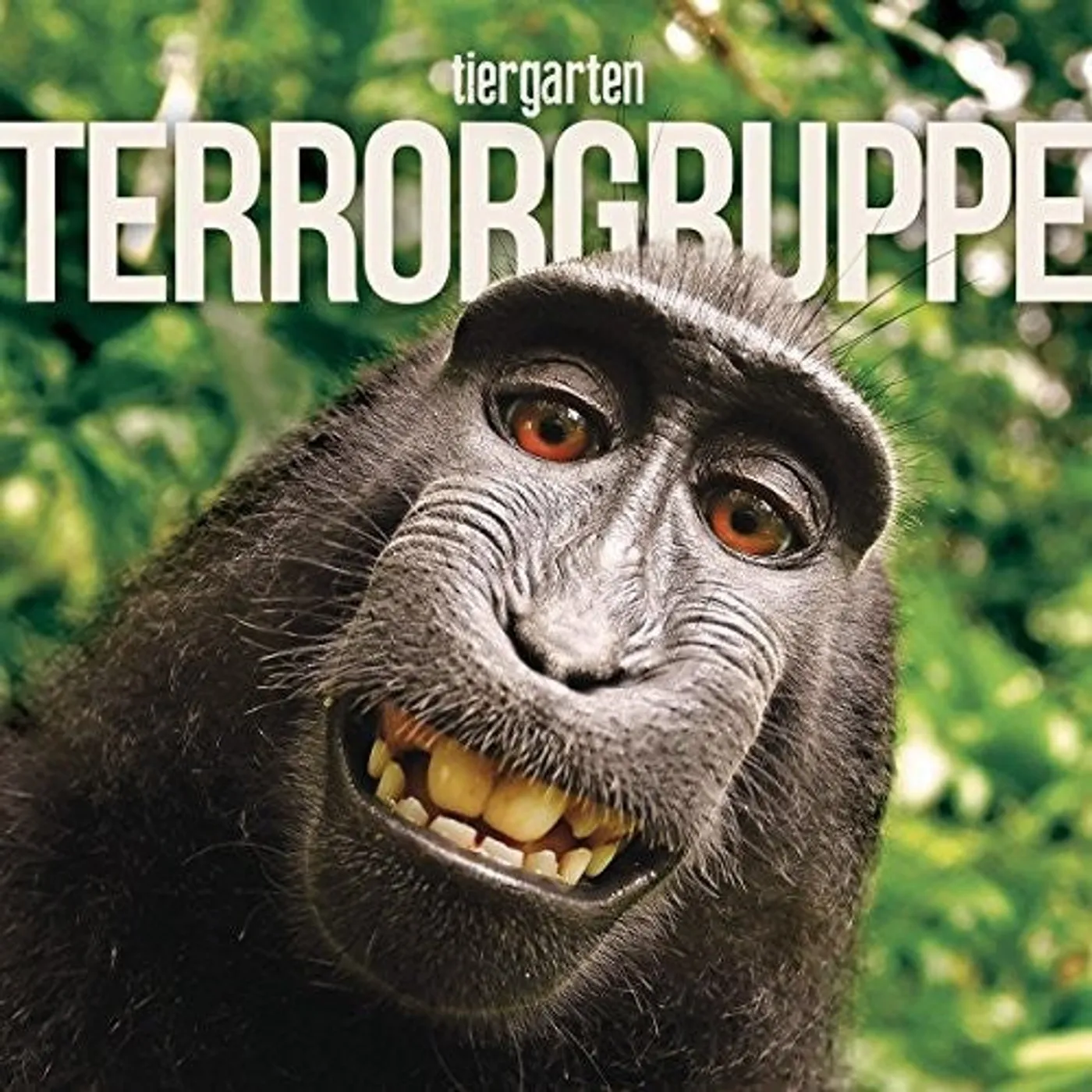 Terrorgruppe LP Vinyl - Tiergarten (Ger)