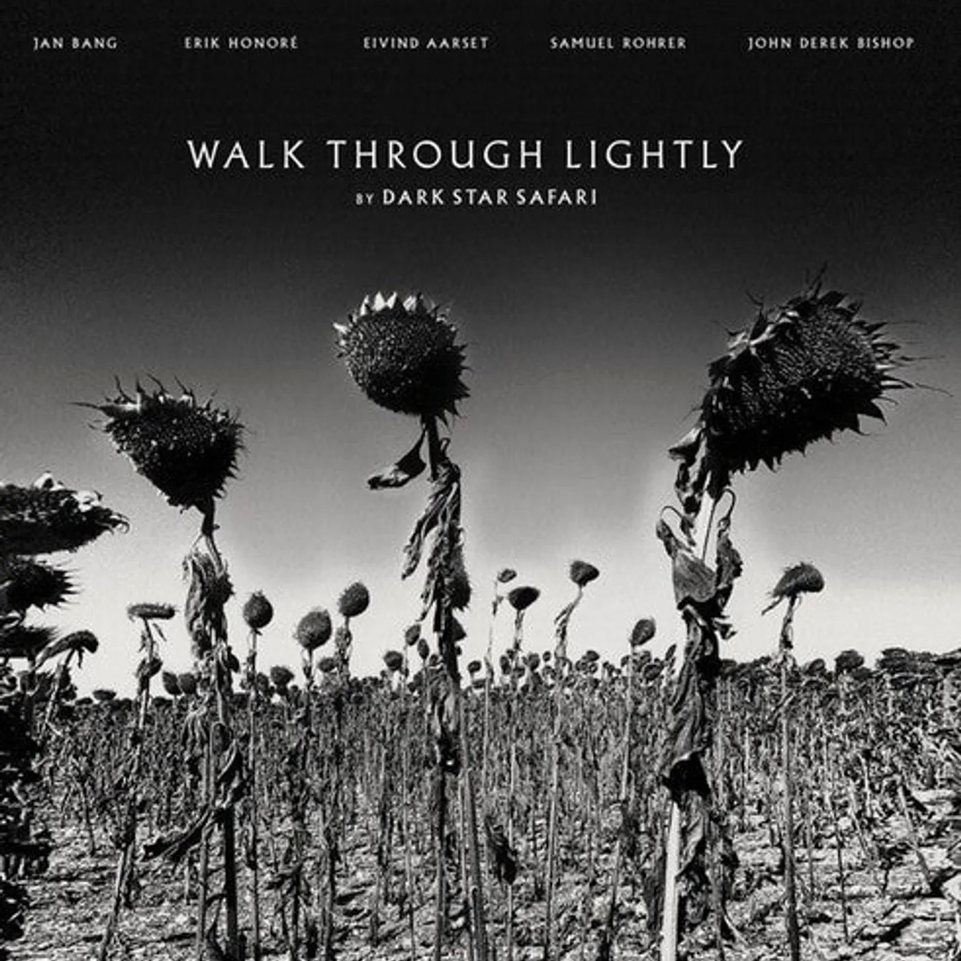 Dark Star Safari LP Vinyl - Walk Through Lightly