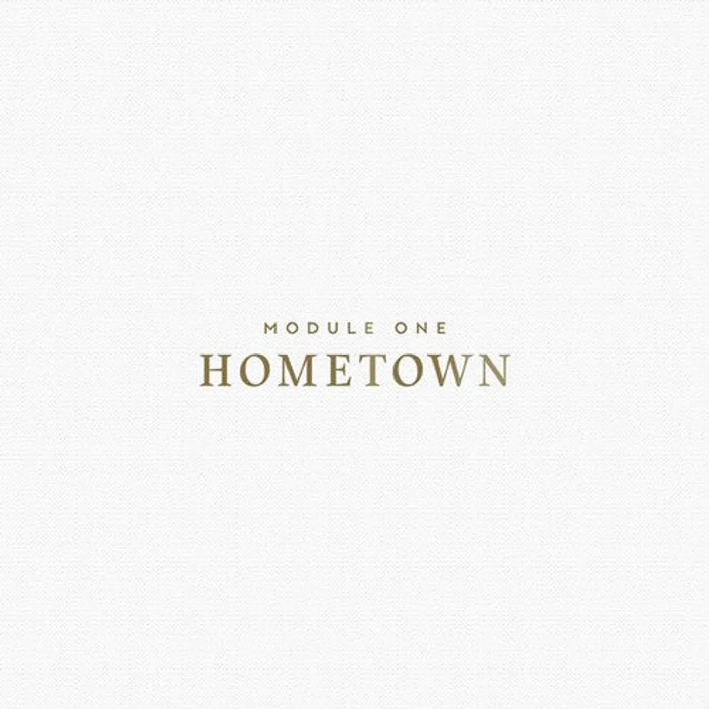 Module One LP Vinyl - Hometown