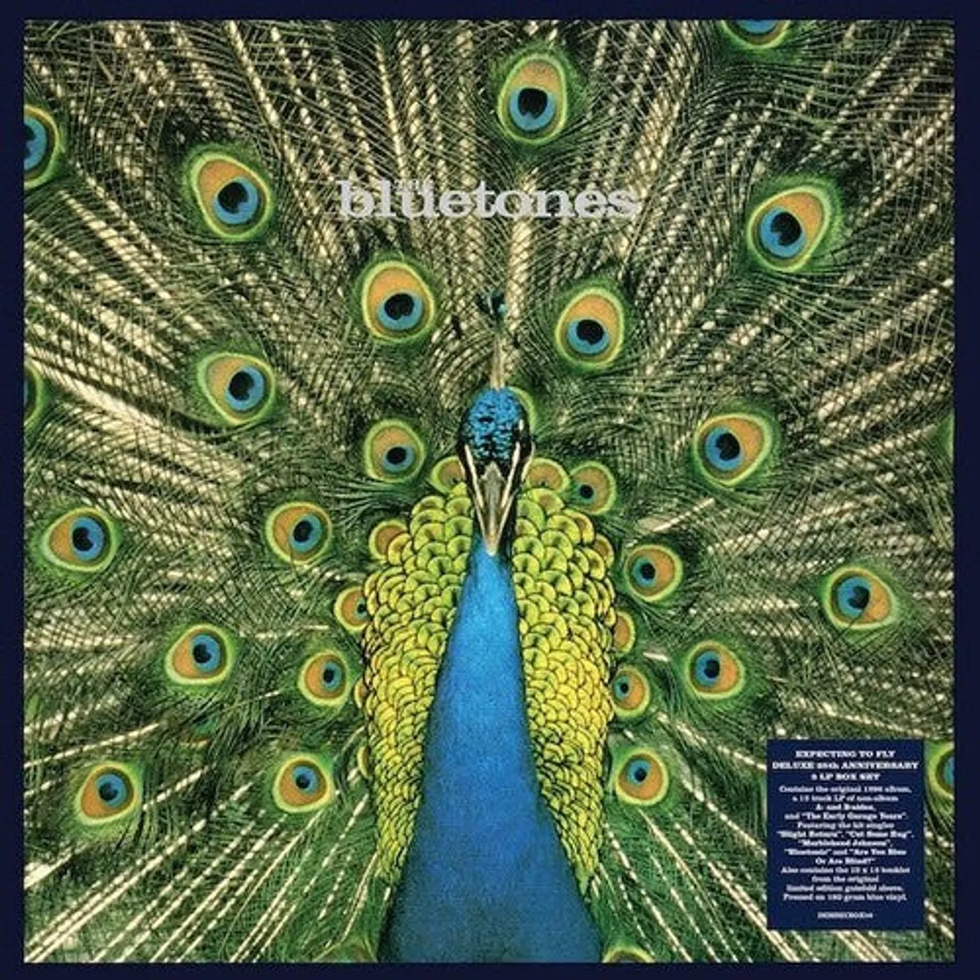 The Bluetones LP Vinyl - Expecting To Fly: 25Th Anniversary (Blue) (Box)