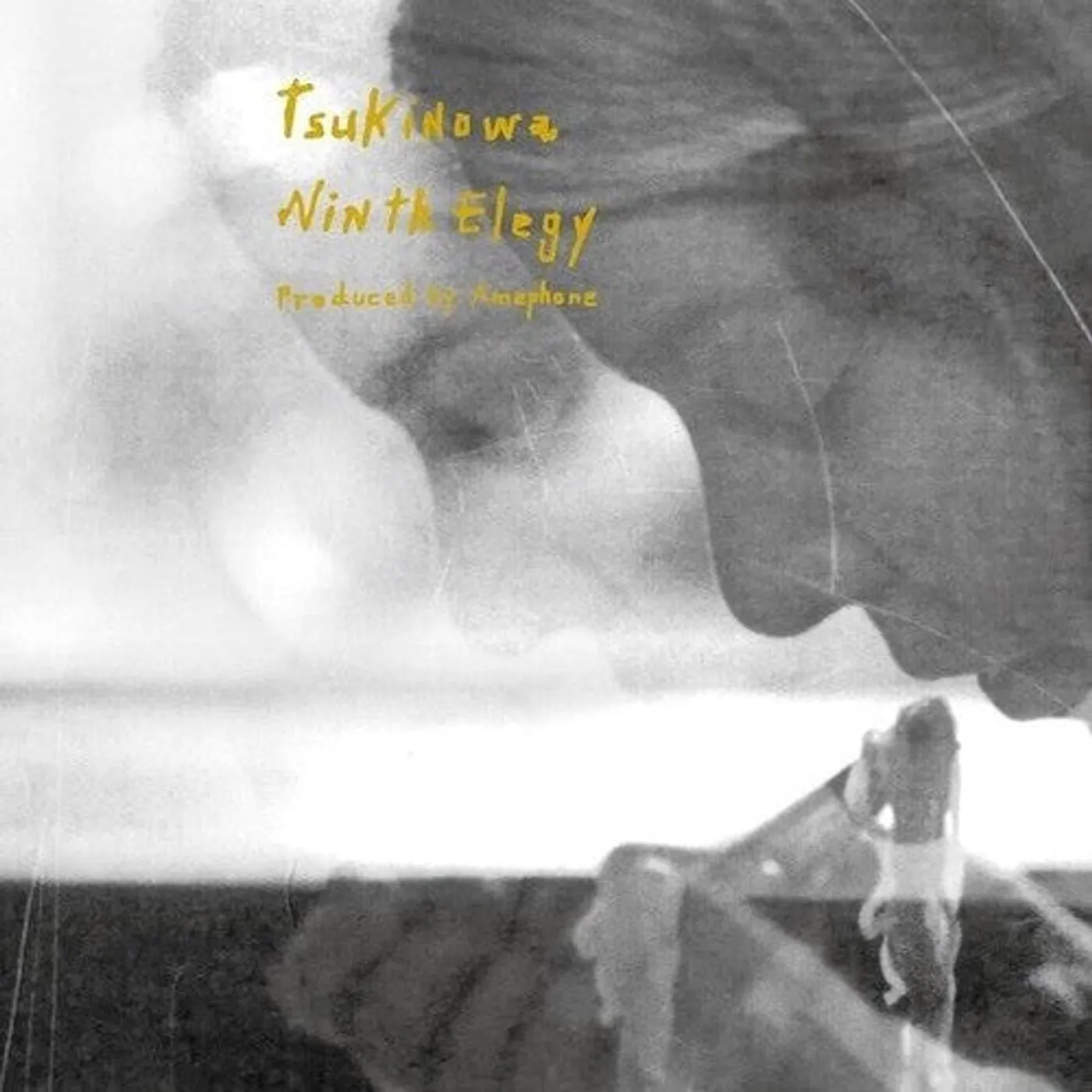 Tsuki No Wa LP Vinyl - Ninth Elegy