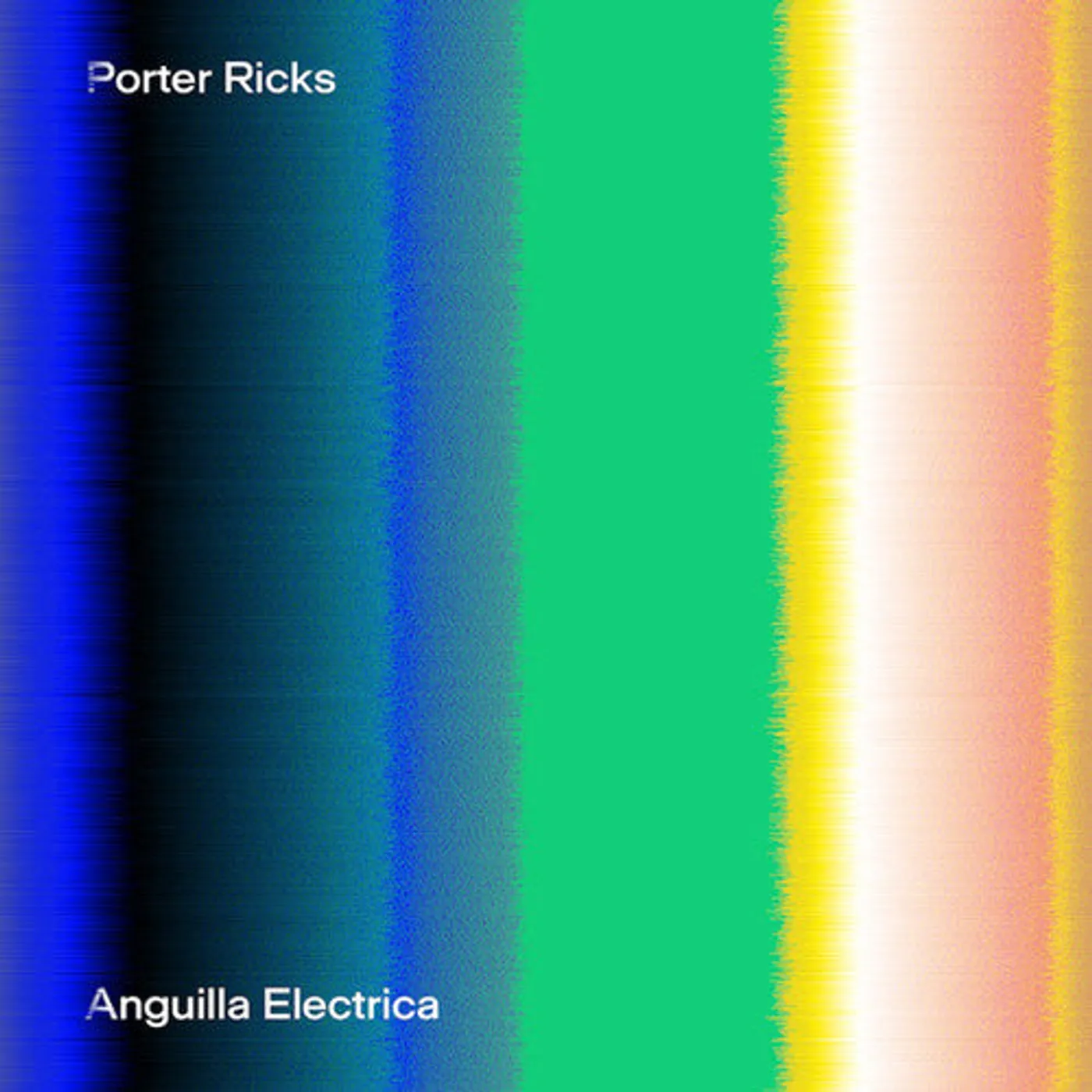 Porter Ricks LP Vinyl - Anguilla Electrica