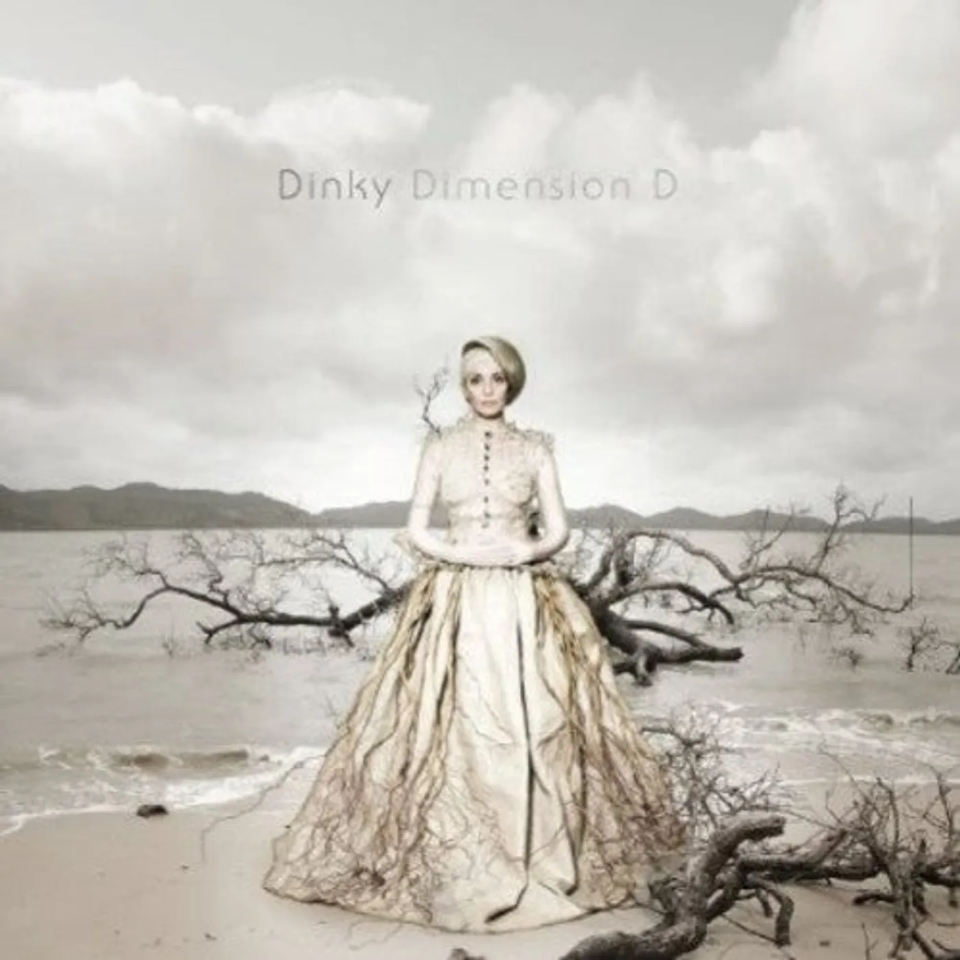 Dinky LP Vinyl - Dimension D