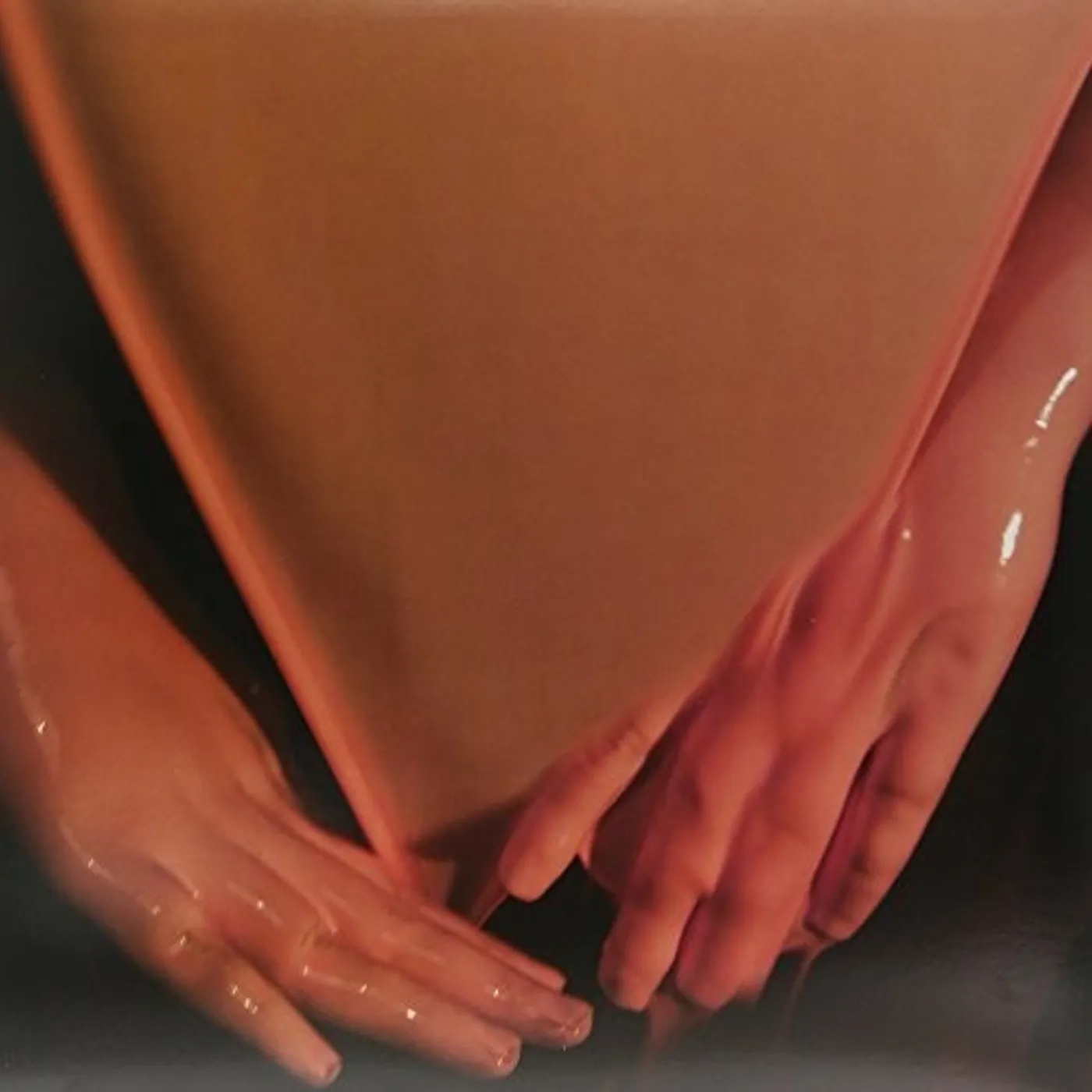Wild Moth LP Vinyl - Inhibitor