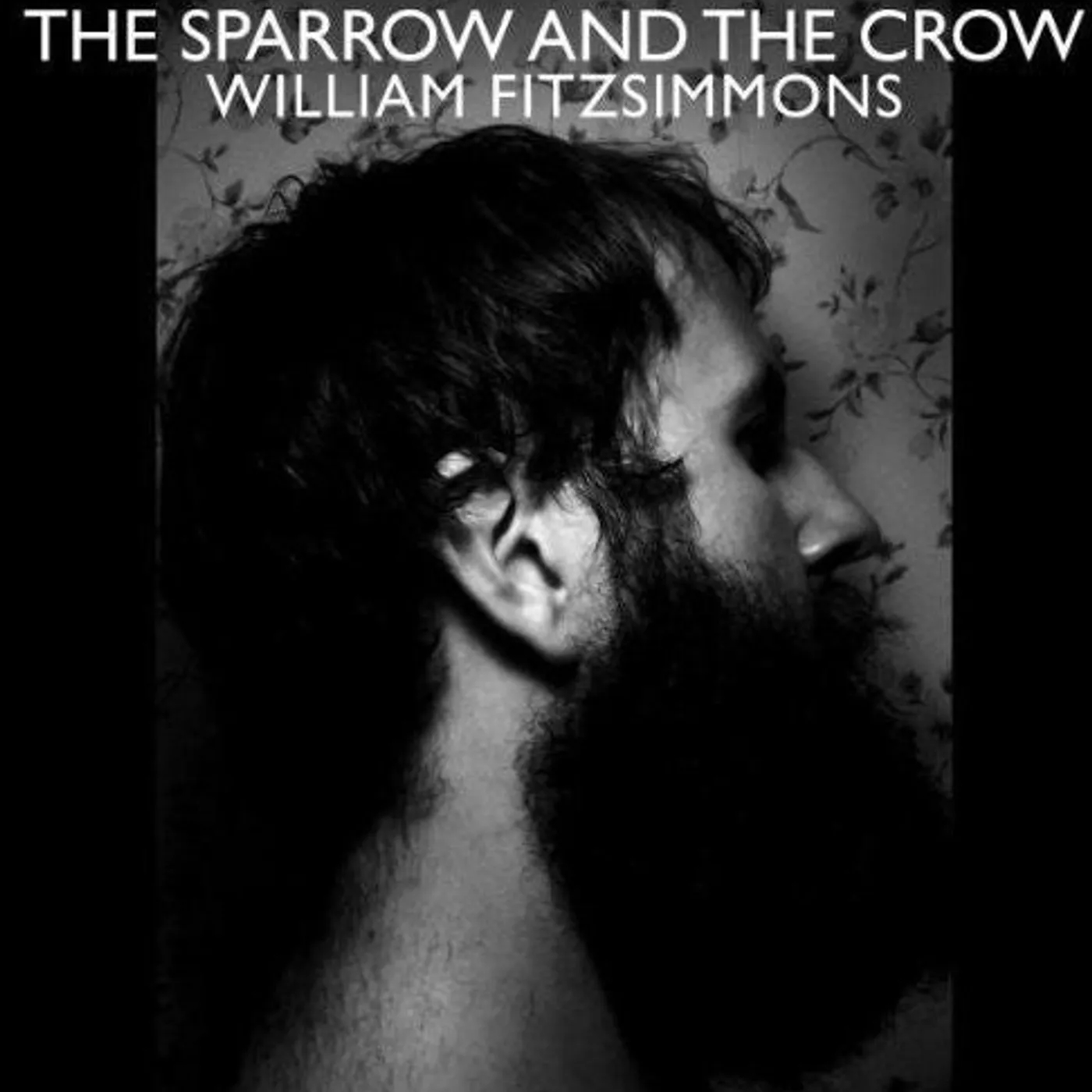 William Fitzsimmons LP Vinyl - Sparrow & The Crow
