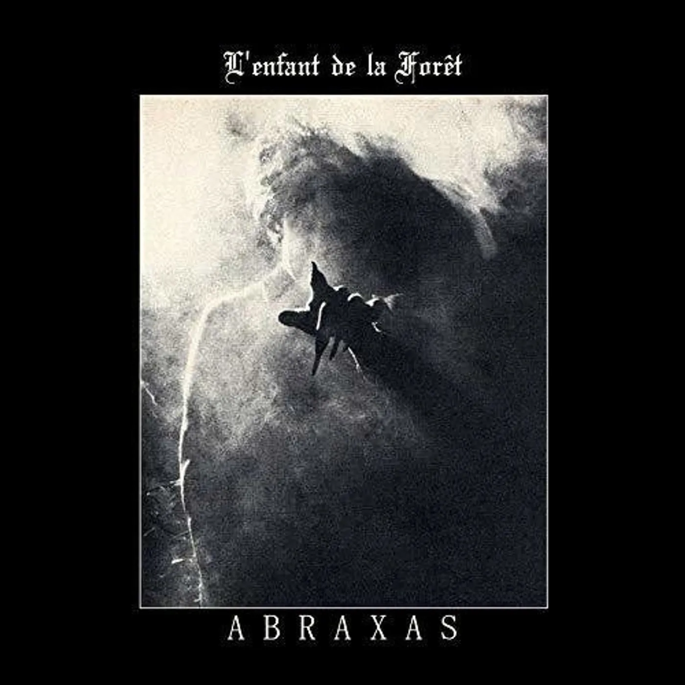 L'Enfant De La Foret