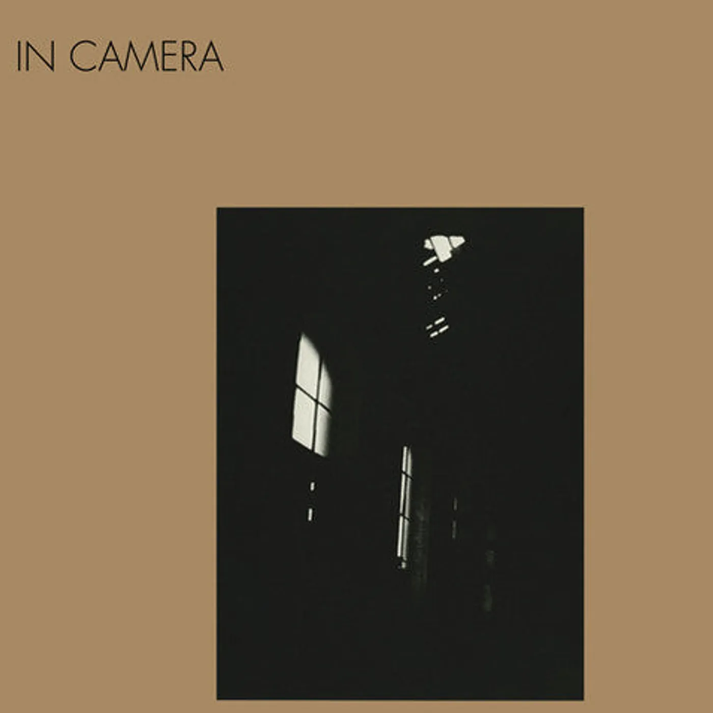 In Camera LP Vinyl - Iv + Ii