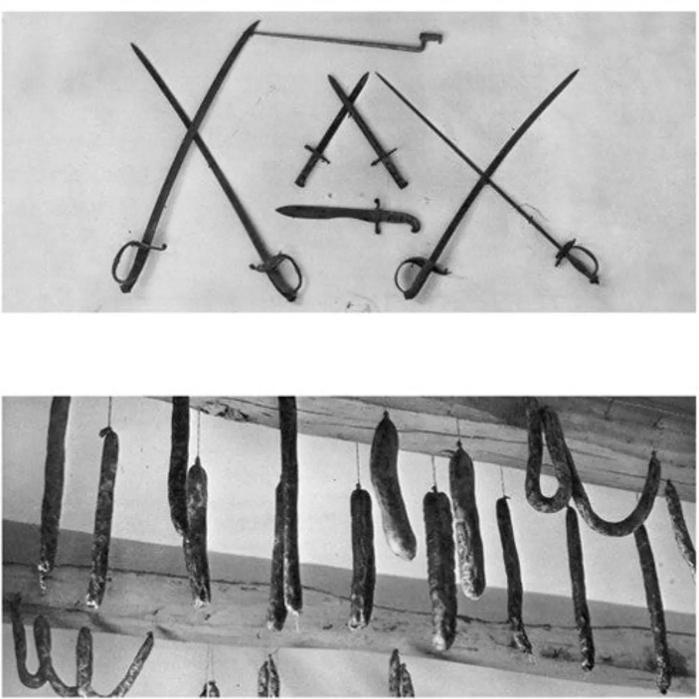 Exoteric Continent LP Vinyl - Referendum