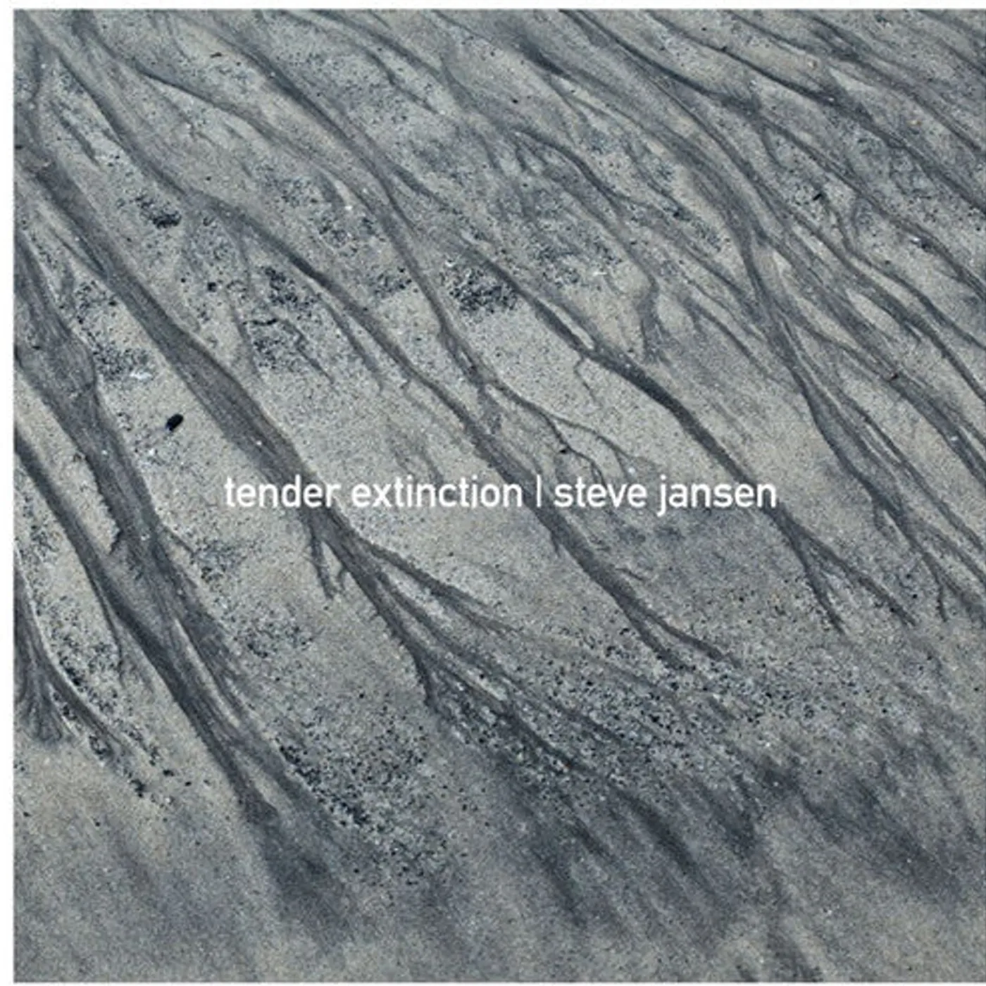 Steve Jansen LP Vinyl - Tender Extinction