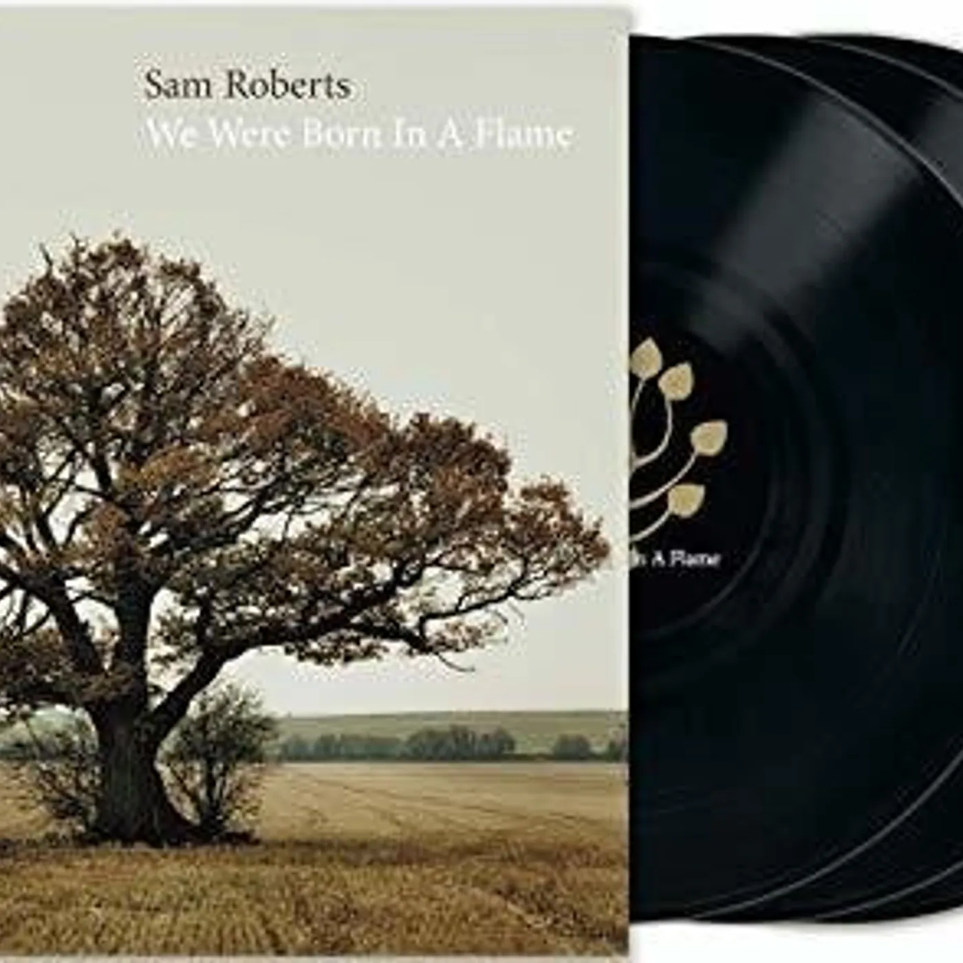 Sam Roberts LP Vinyl - We Were Born In A Flame (Dlx) (Can)