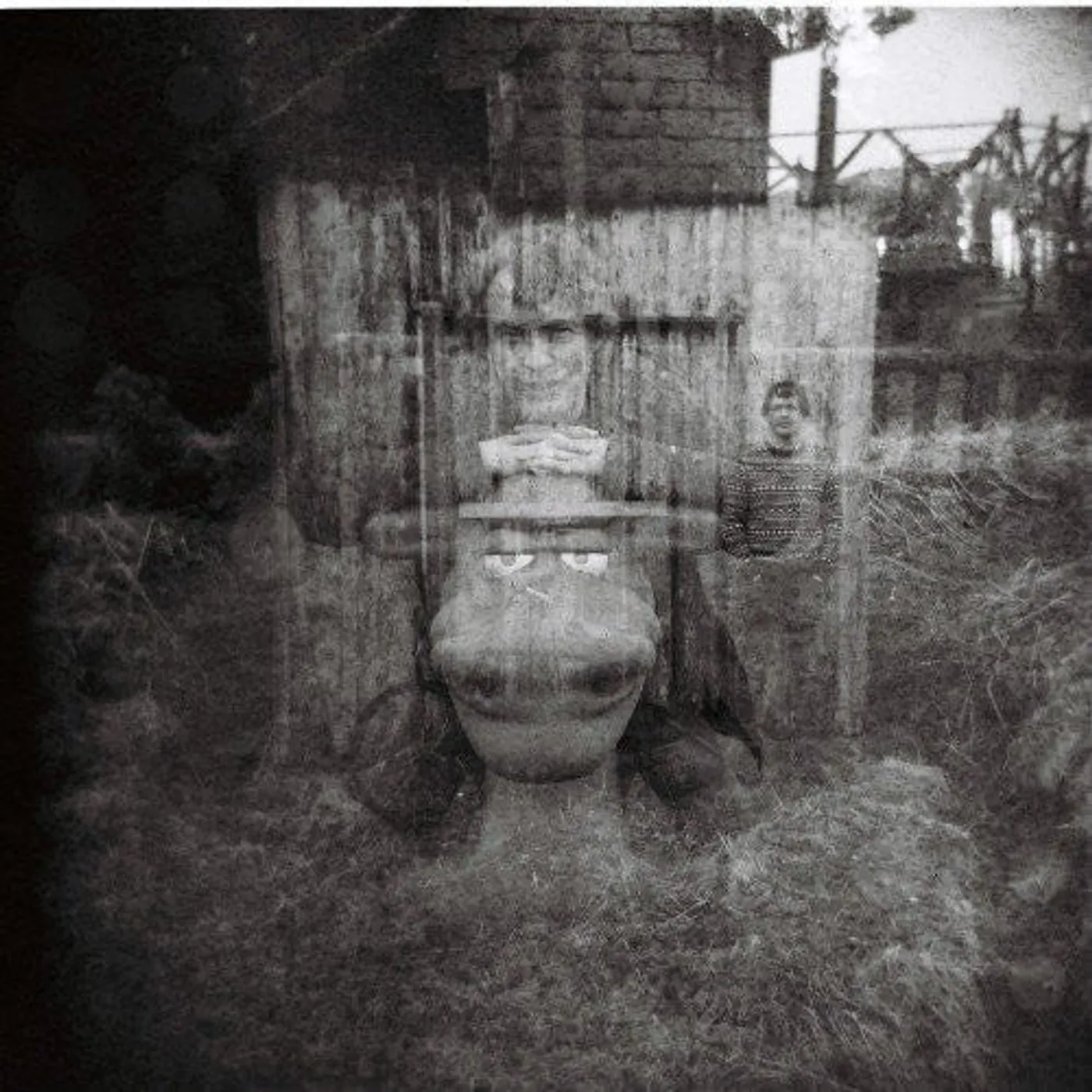 Richard Youngs LP Vinyl - Summer Through My Mind