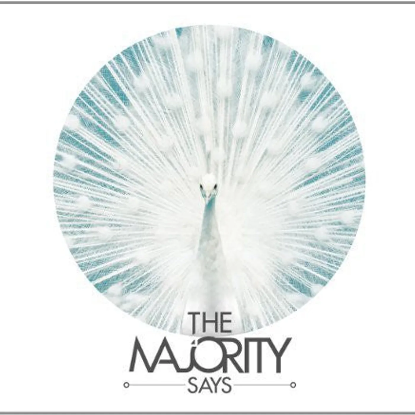 The Majority Says LP Vinyl - Majority Says (Hk)