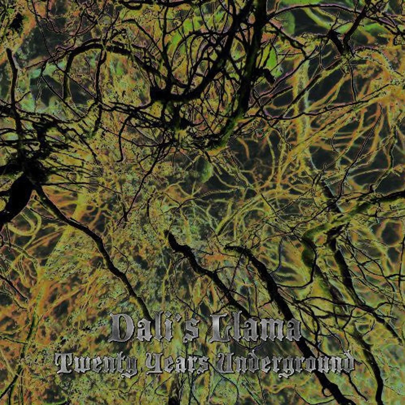 Dali'S Llama LP Vinyl - Twenty Years Underground