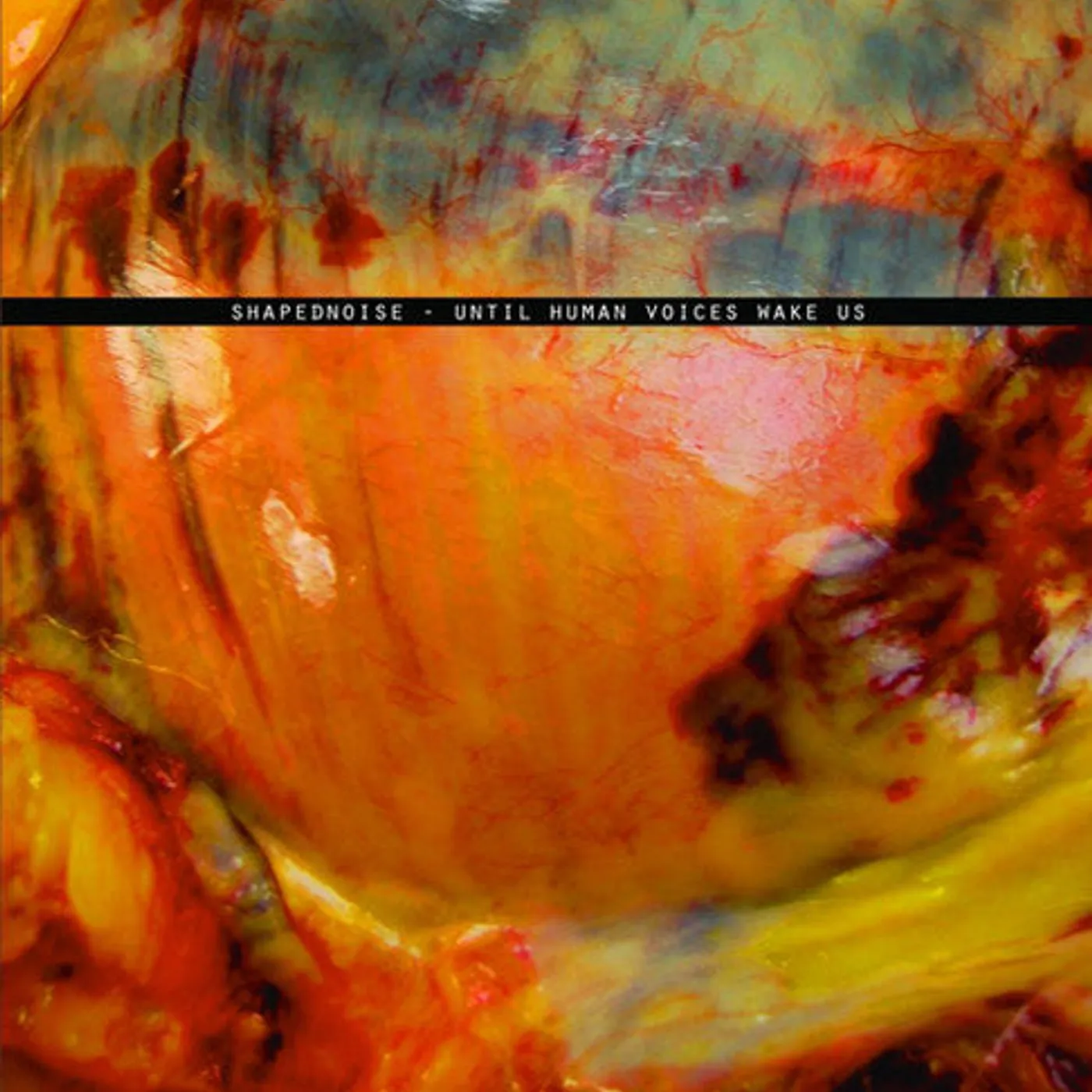 Shapednoise LP Vinyl - Until Human Voices Wake Us