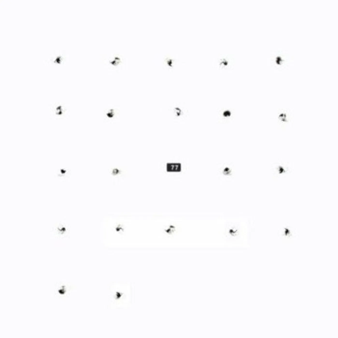 Foot Village  LP Vinyl - Split Series Number 21 (Uk)