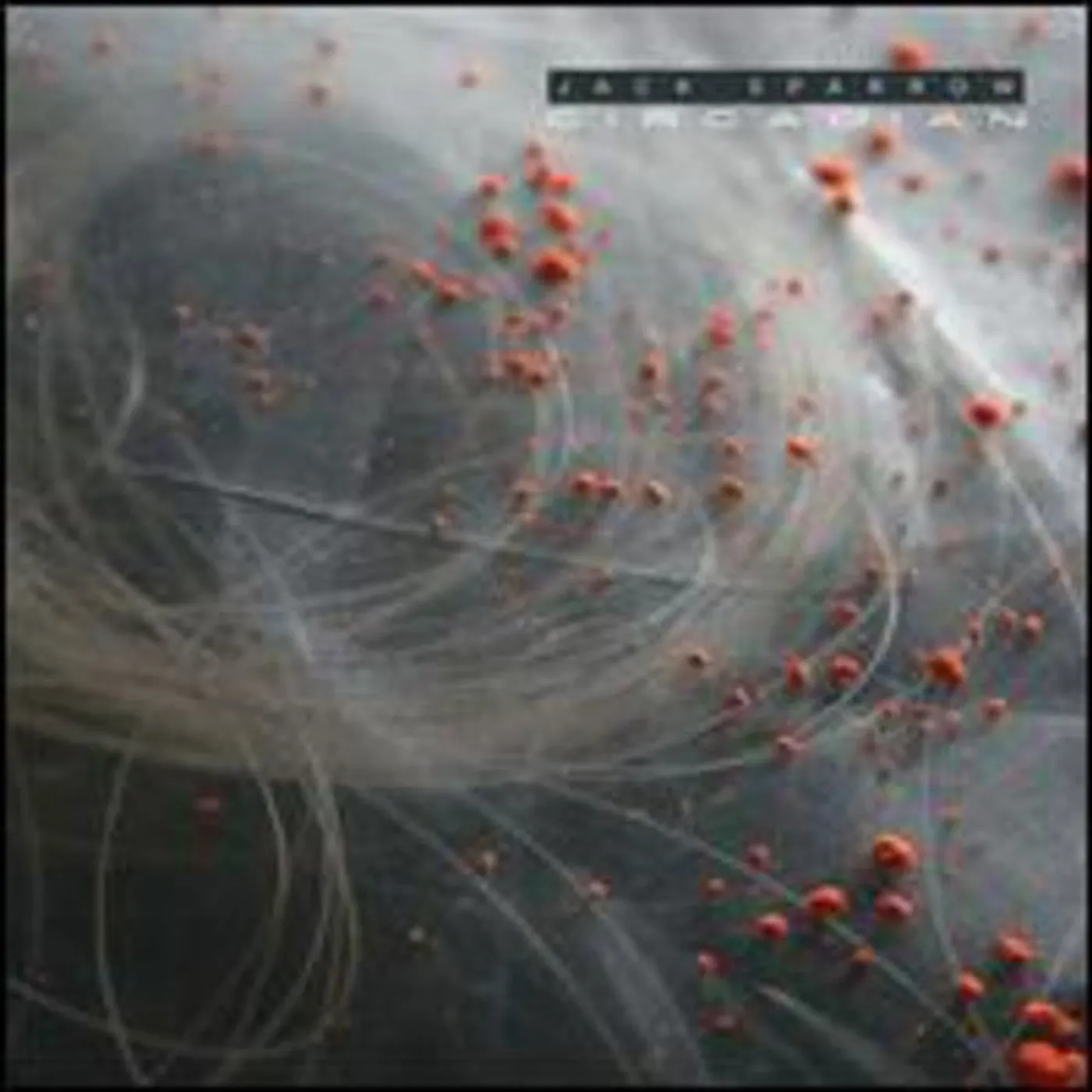 Jack Sparrow LP Vinyl - Circadian