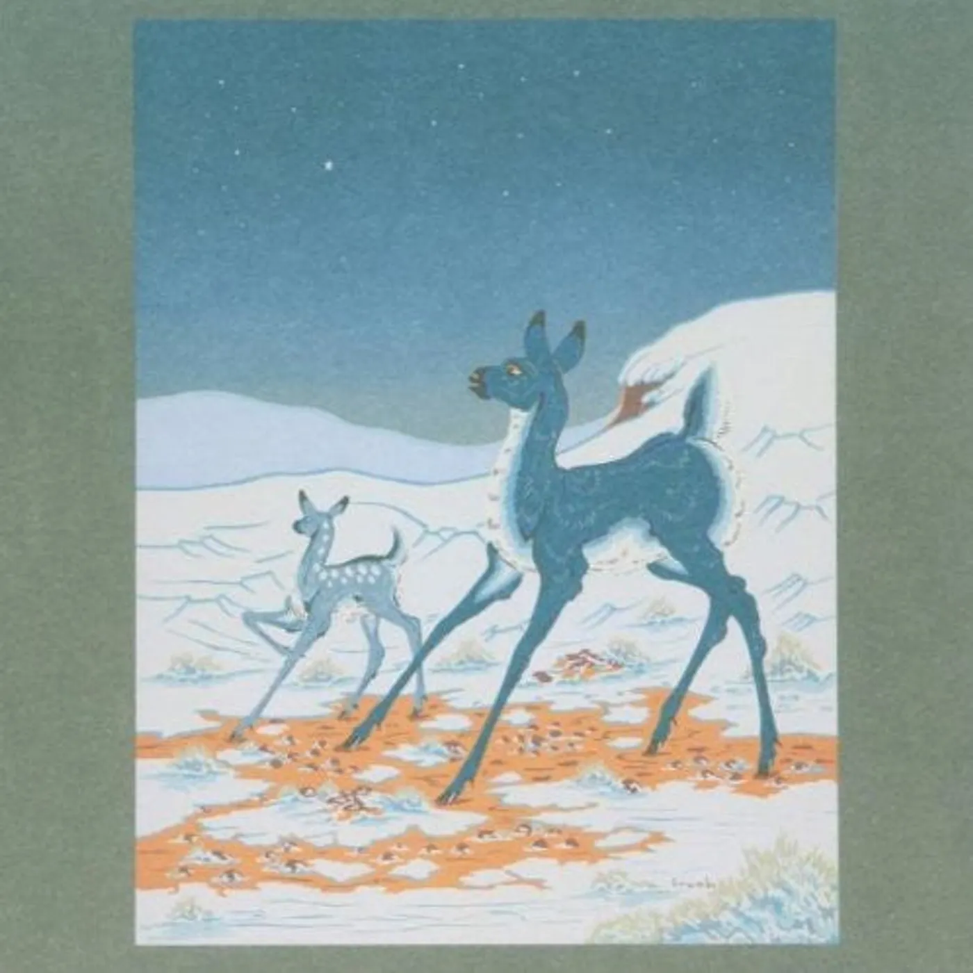 Bonnie Prince Billy LP Vinyl - Brave & The Bold