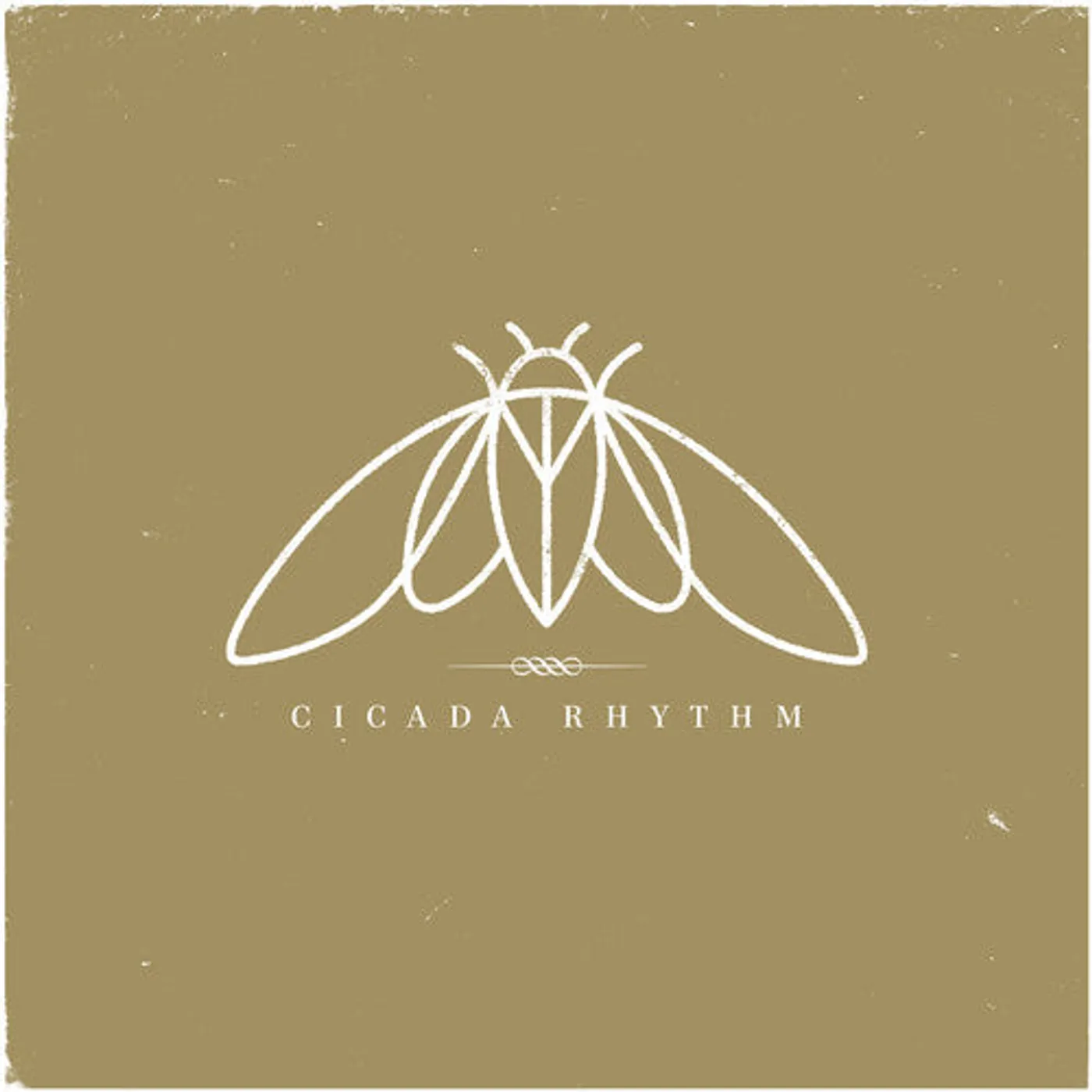 Cicada Rhythm LP Vinyl - Cicada Rhythm (Dlcd)