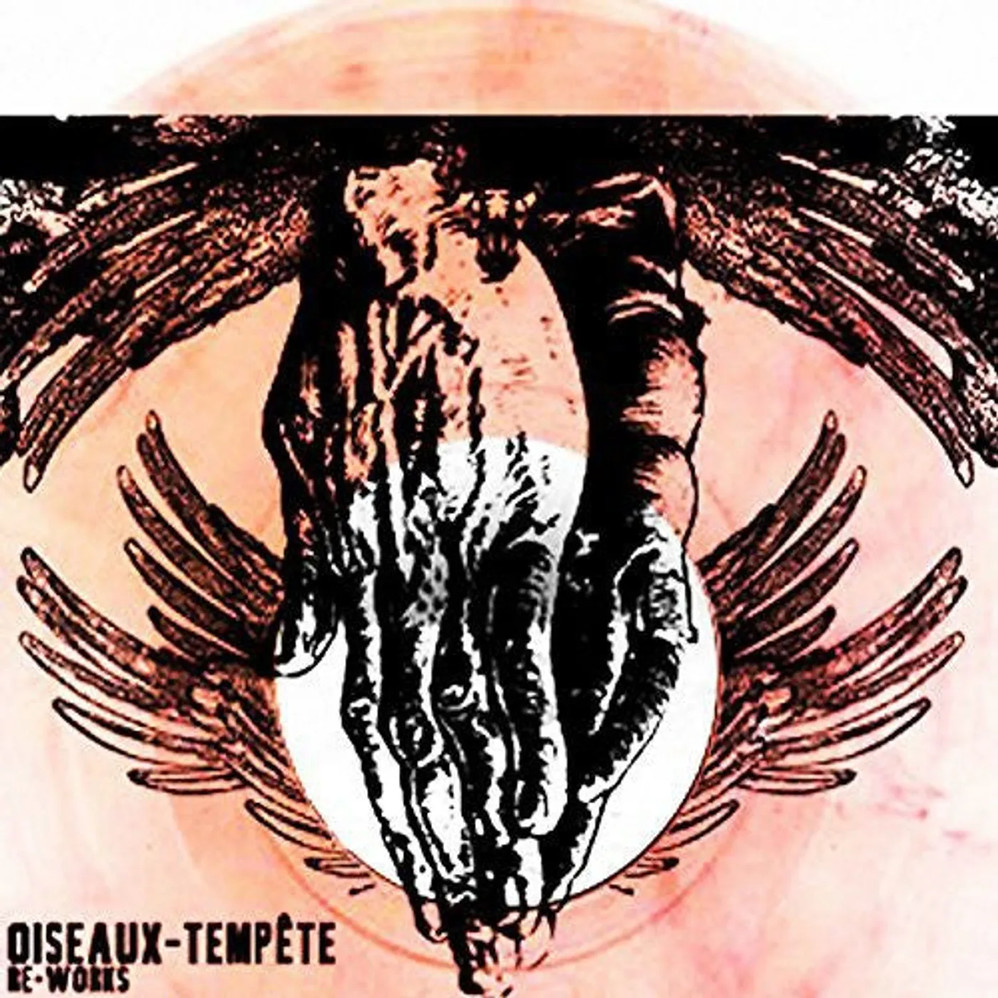 Oiseaux-Tempête LP Vinyl - Re-Works
