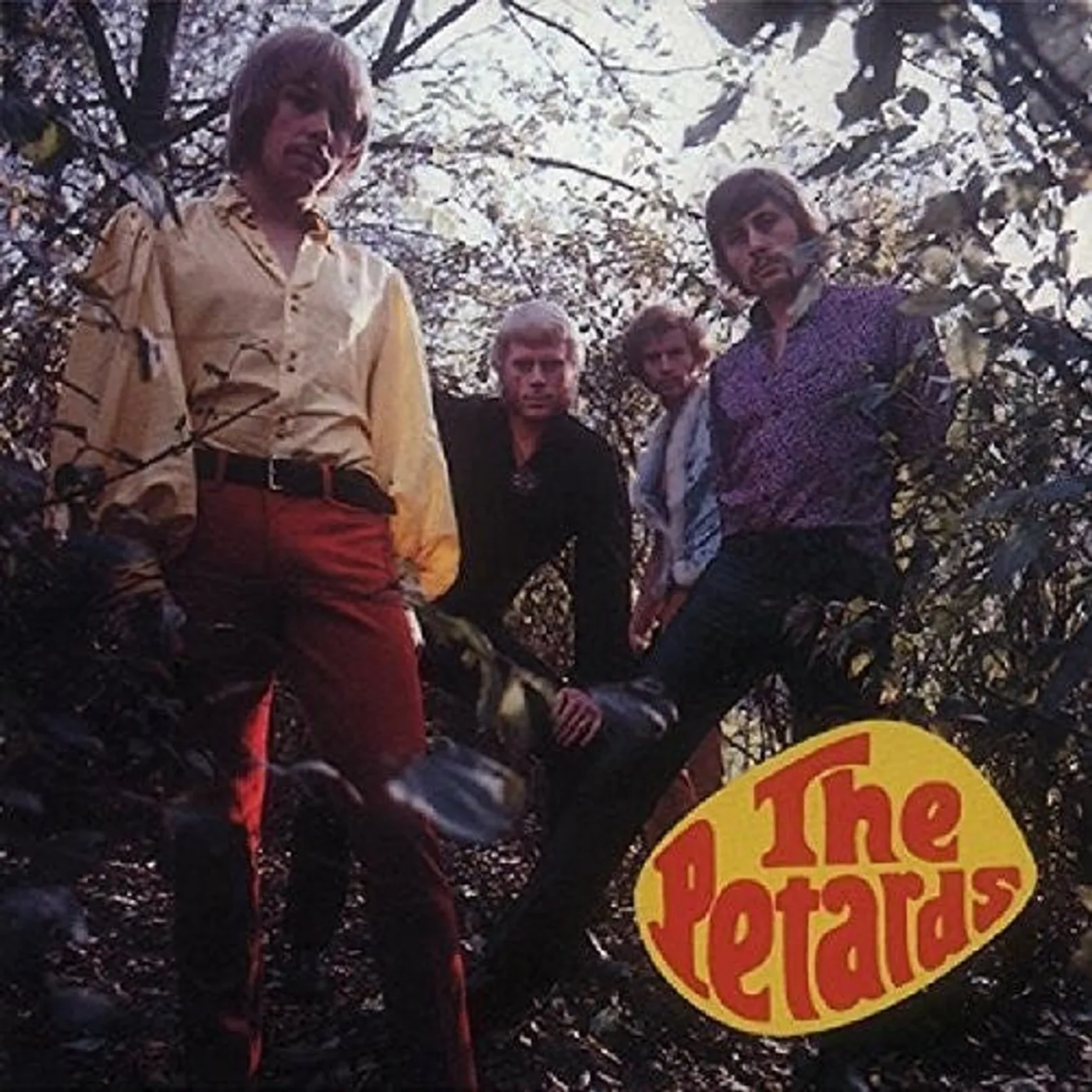 The Petards LP Vinyl - Petards