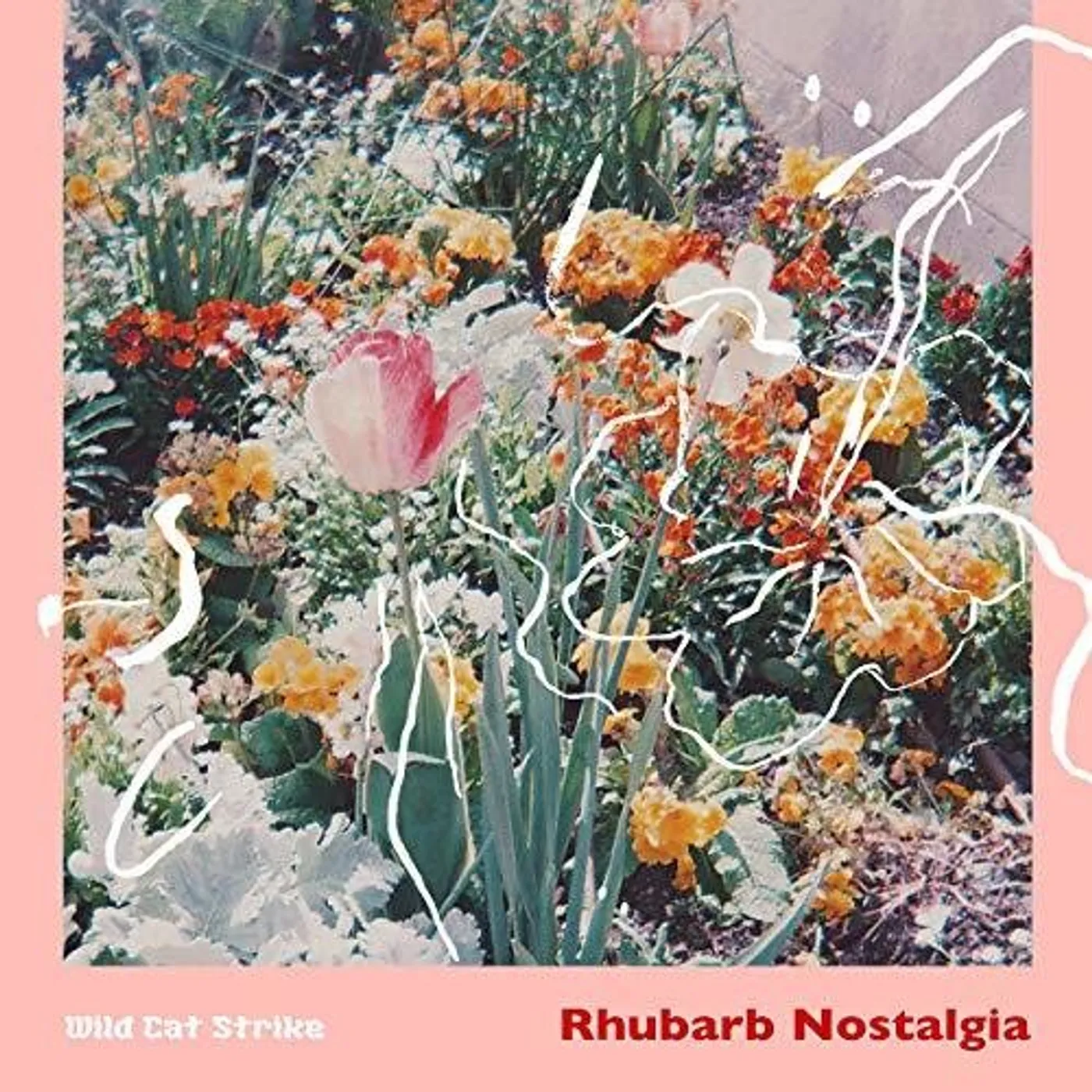 Wild Cat Strike LP Vinyl - Rhubarb Nostalgia (Uk)