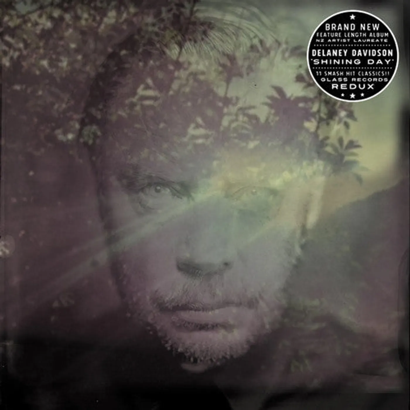 Delaney Davidson LP Vinyl - Shining Day