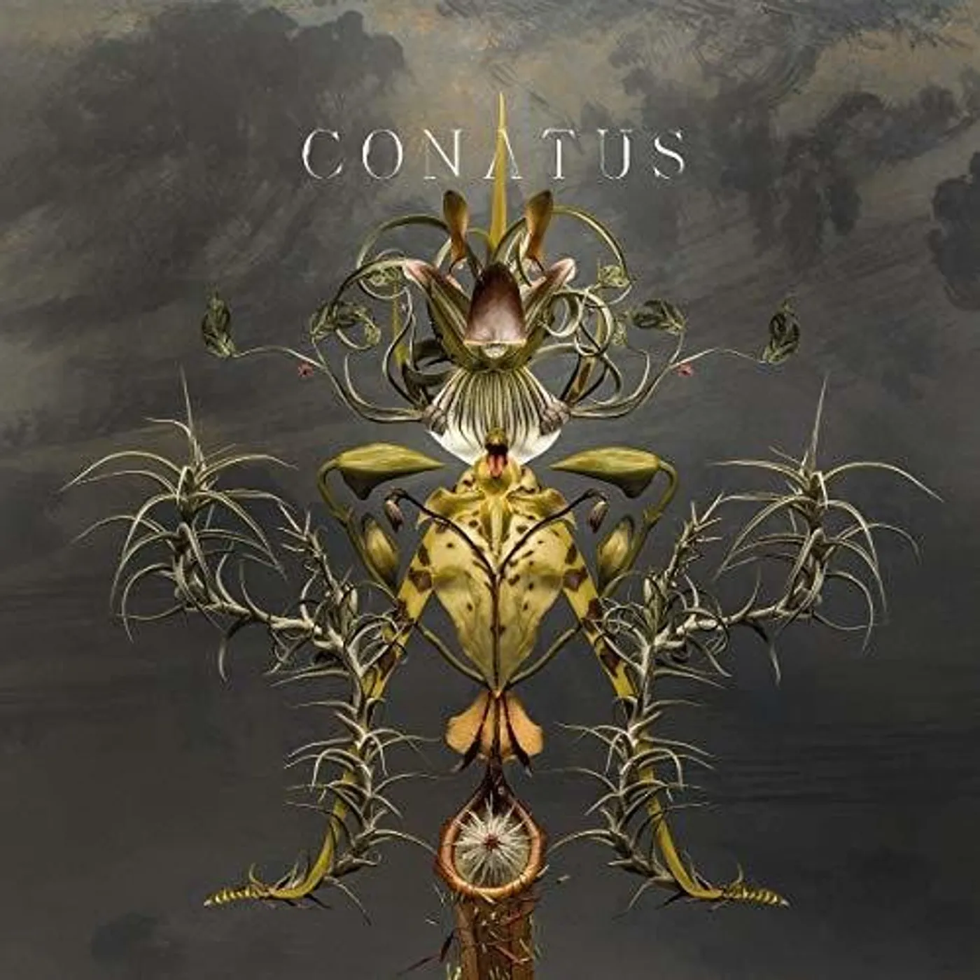 Joep Beving LP Vinyl - Conatus