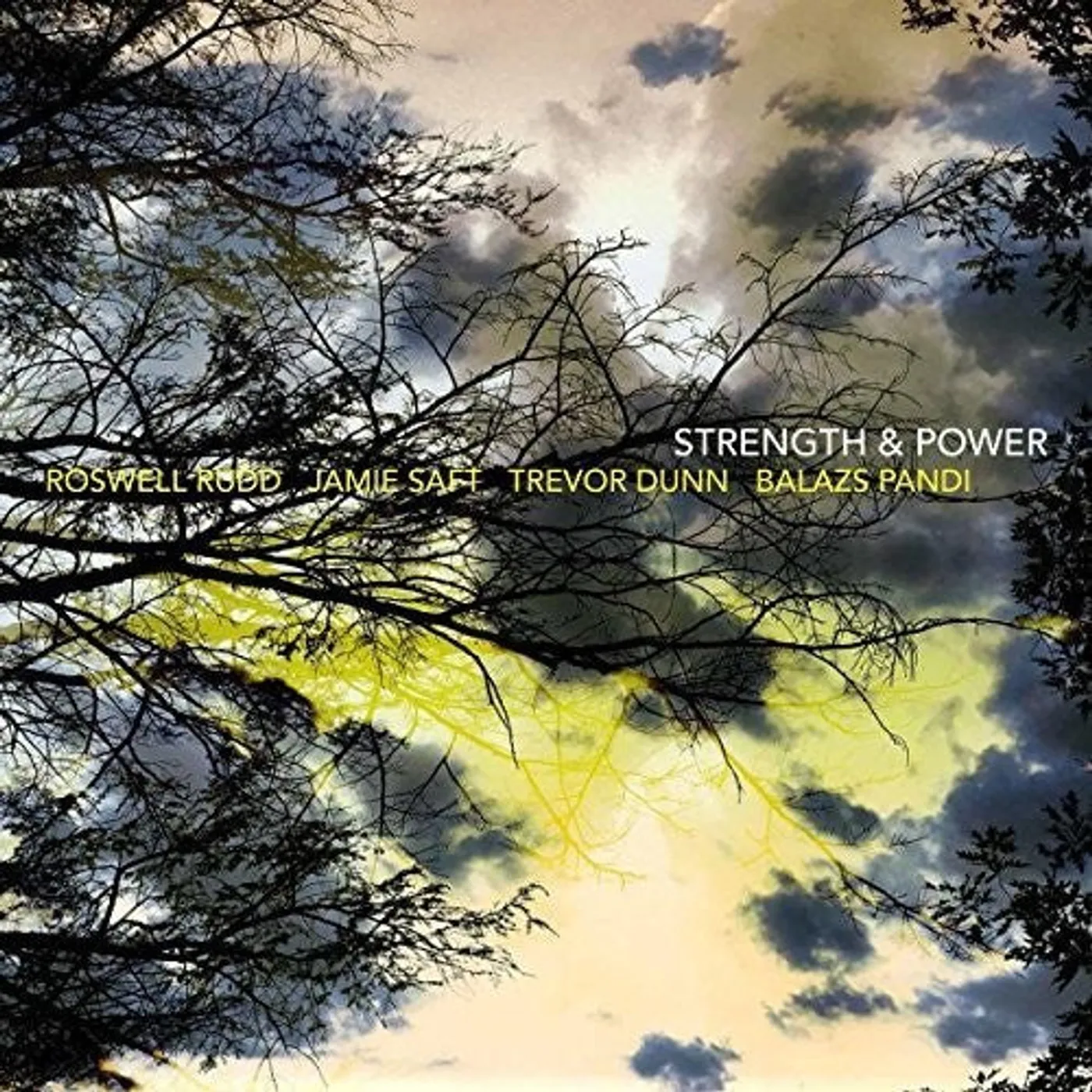 Roswell Rudd LP Vinyl - Strength & Power