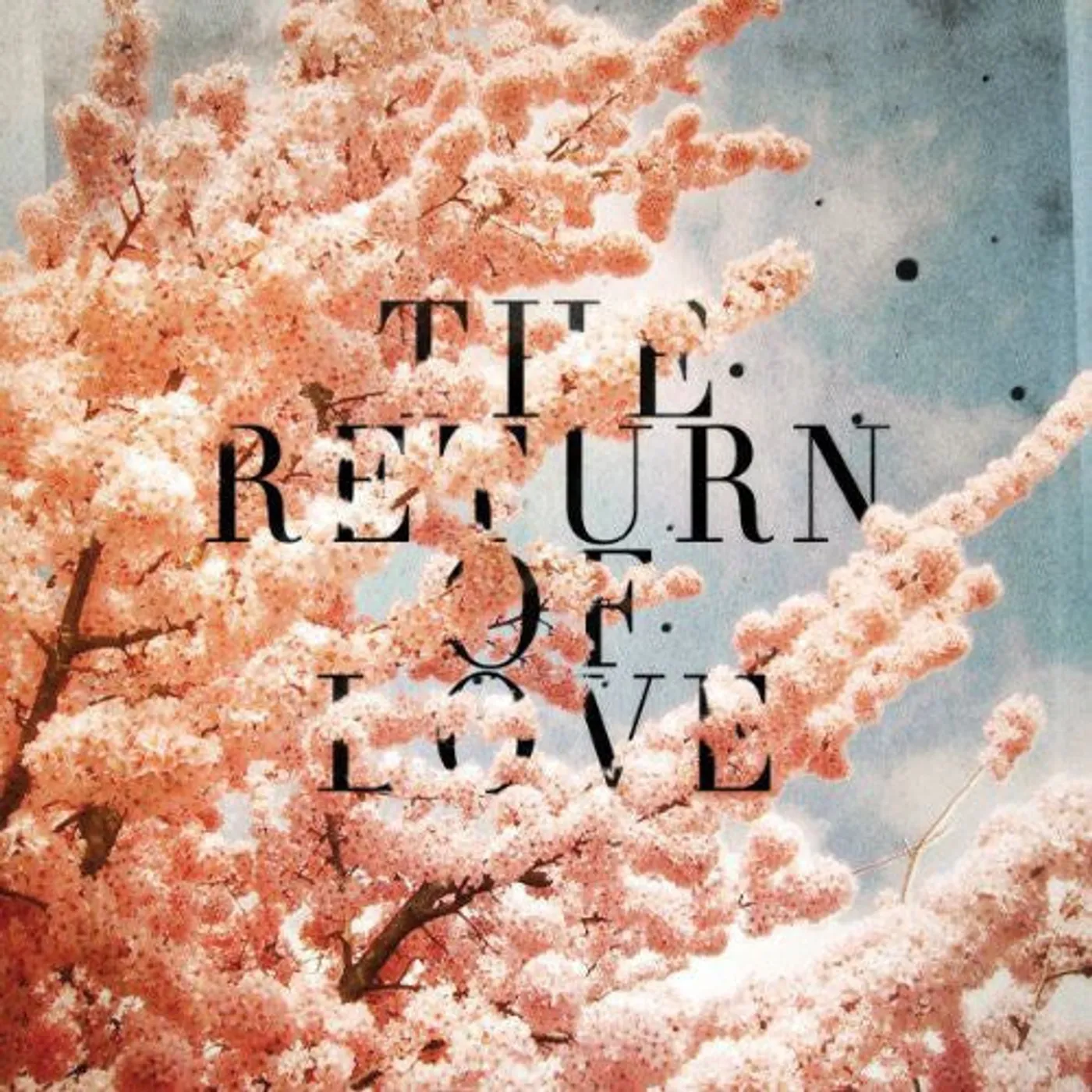 Woolfy Vs Projections LP Vinyl - Return Of Love