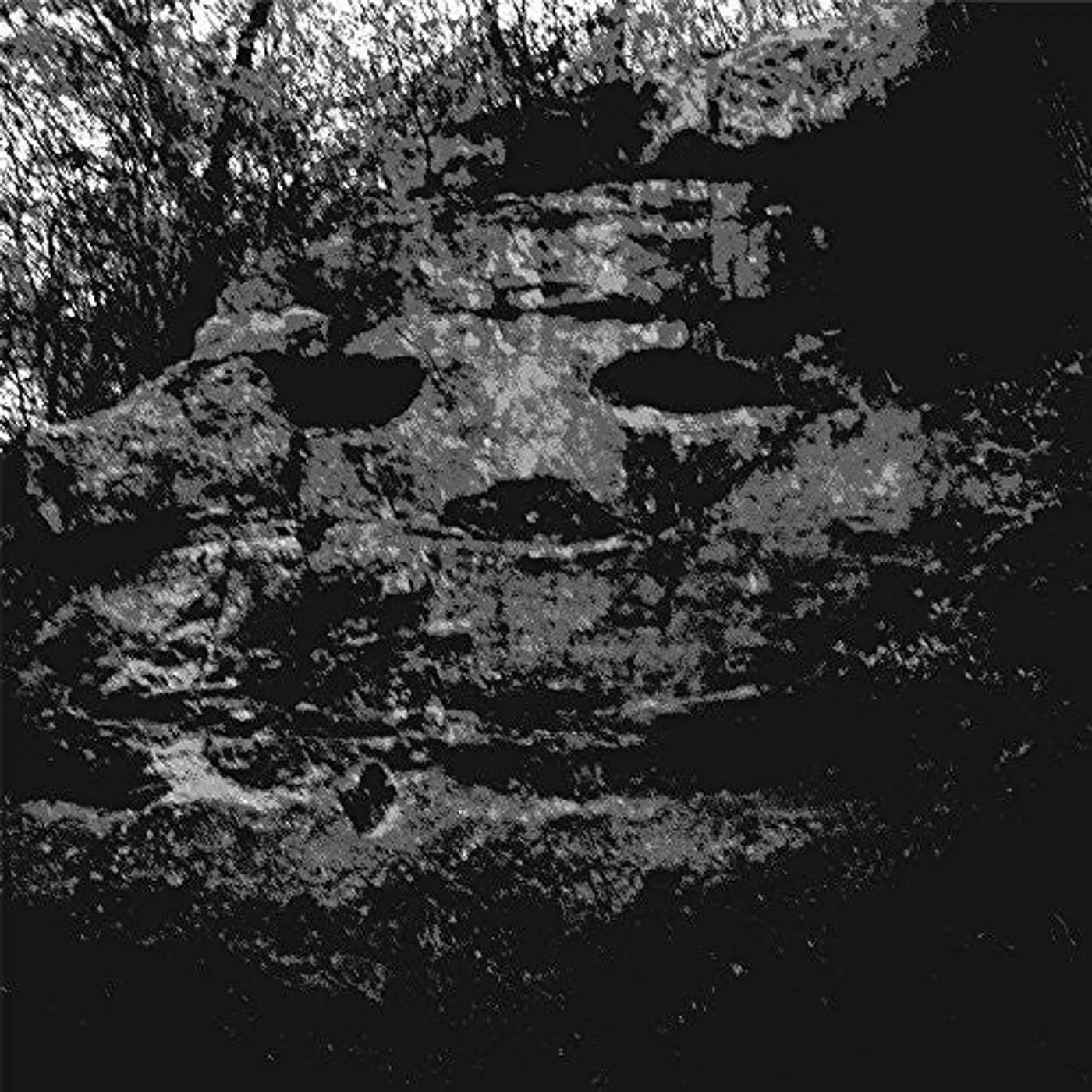 Panicsville LP Vinyl - A Dragonfly For Each Corpse (Wsv)