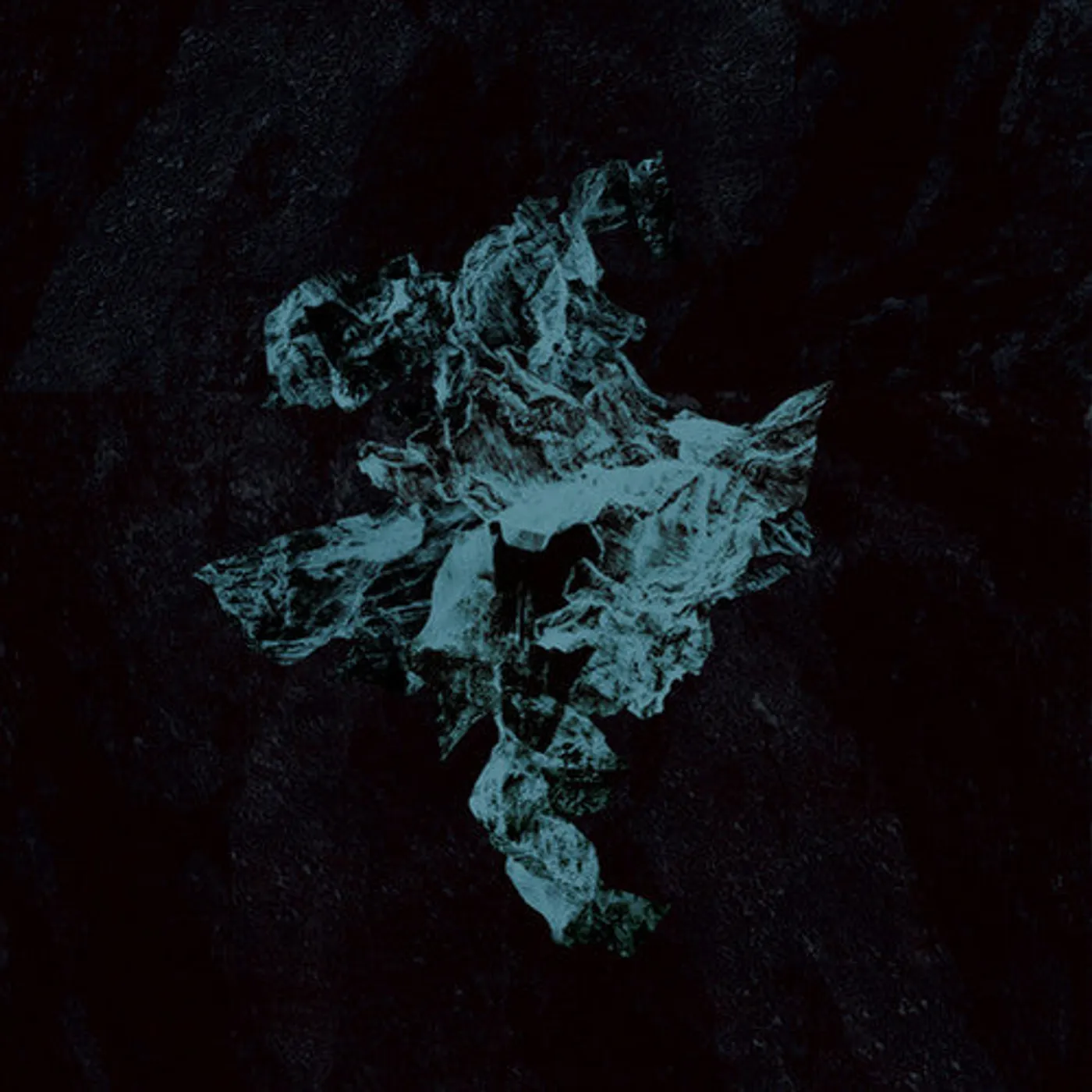 Young Echo LP Vinyl - Nexus