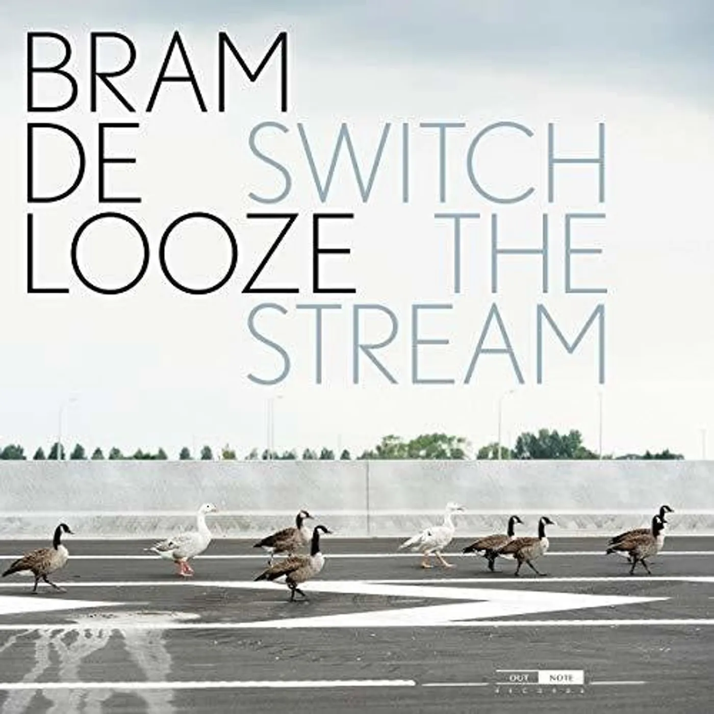 Bram De Looze LP Vinyl - Switch The Stream (2Pk)