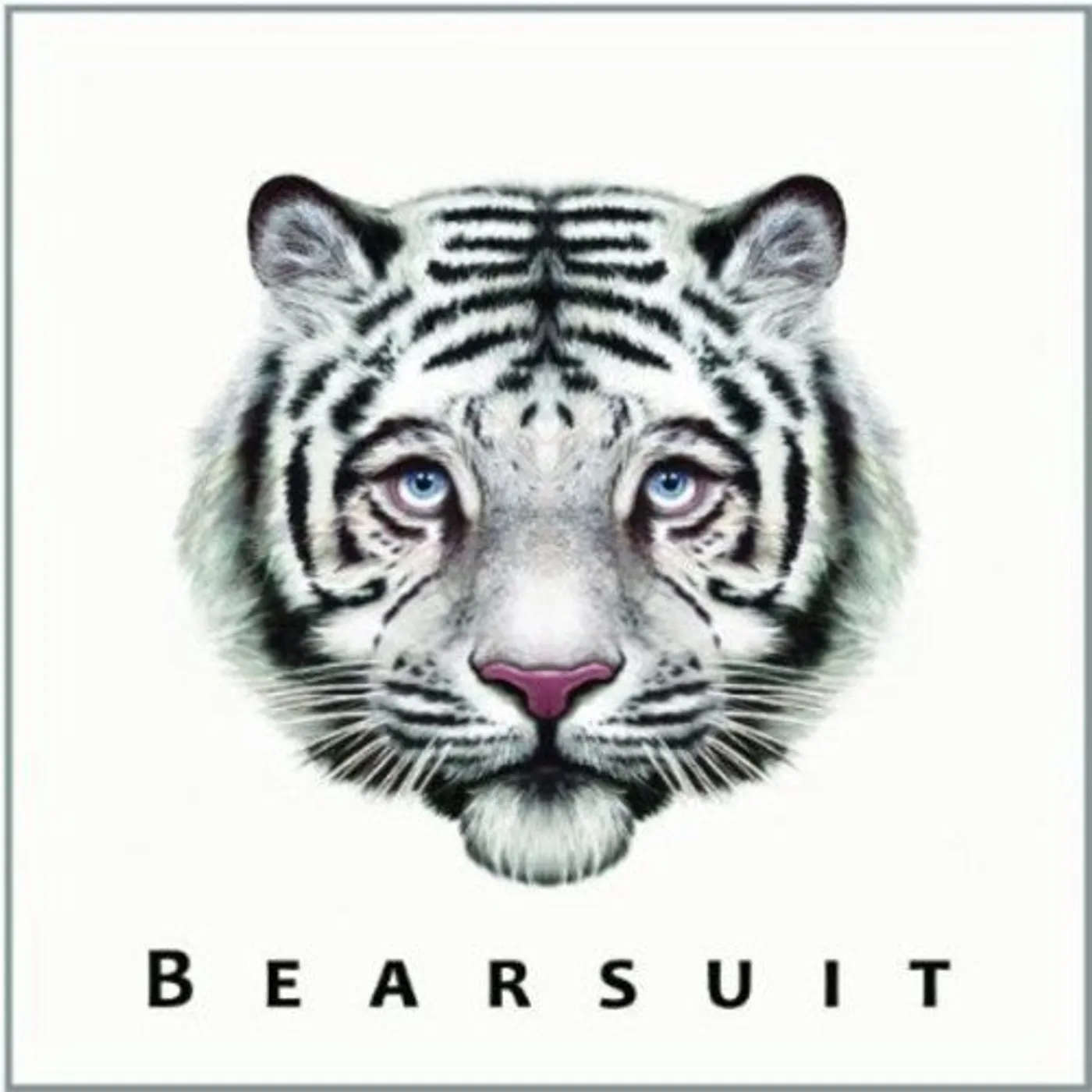 Bearsuit LP Vinyl - Phantom Forest
