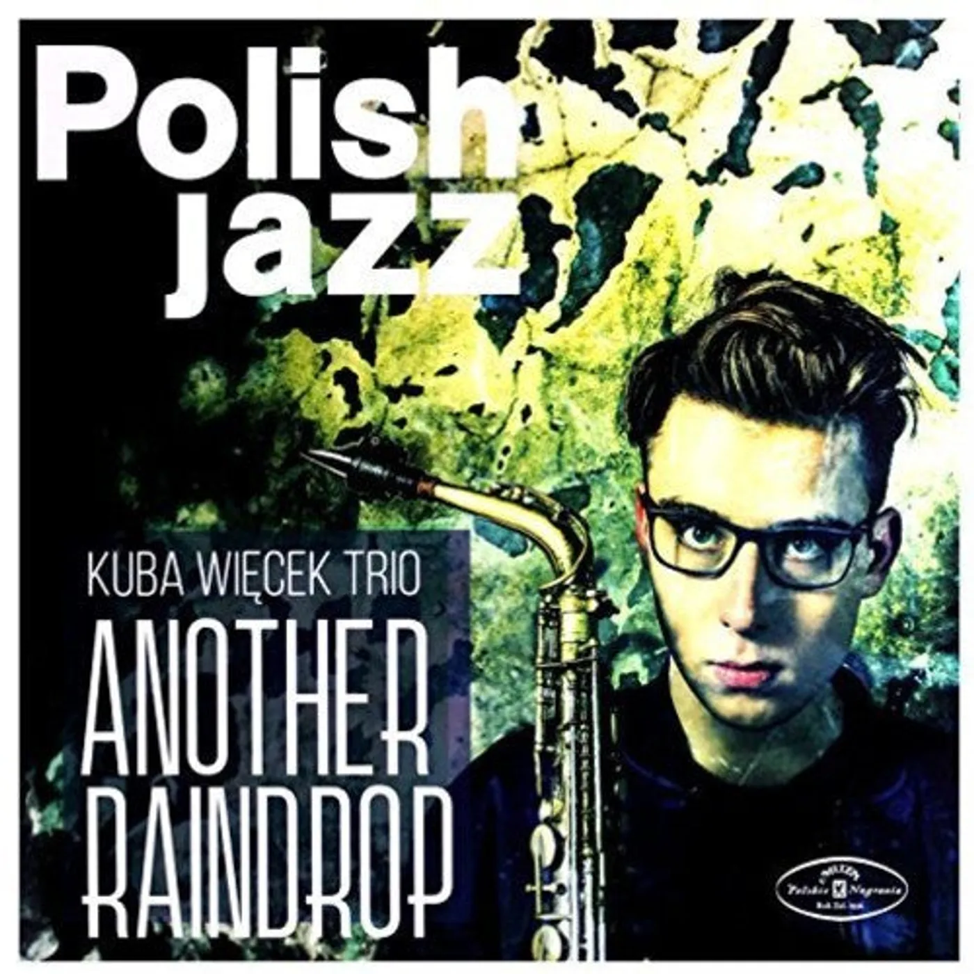 Kuba Wiecek Trio LP Vinyl - Another Raindrop (Pol)