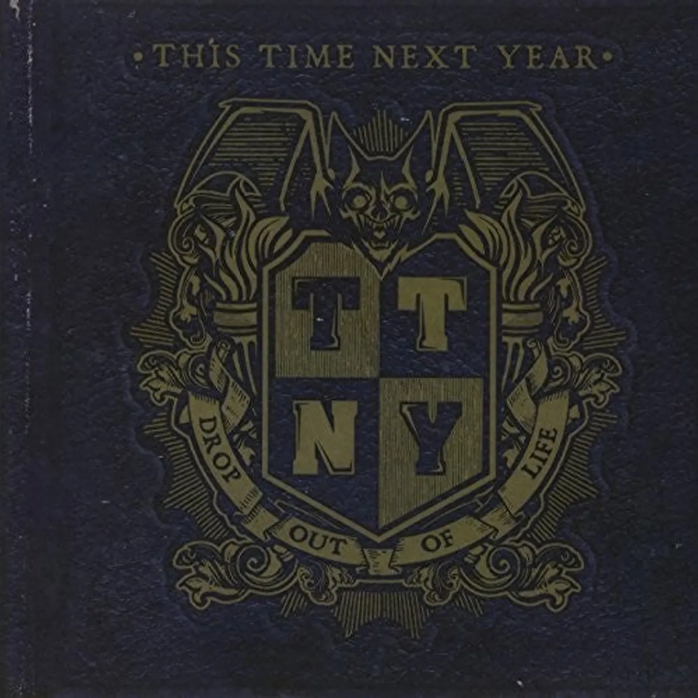 This Time Next Year LP Vinyl - Drop Out Of Life (Uk)