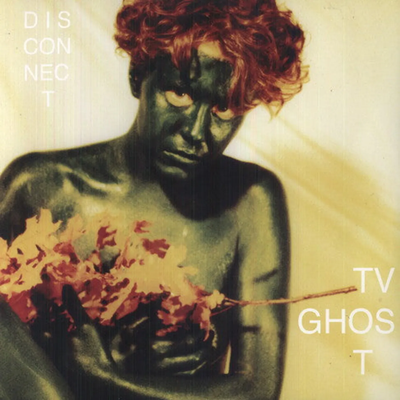 Tv Ghost LP Vinyl - Disconnect