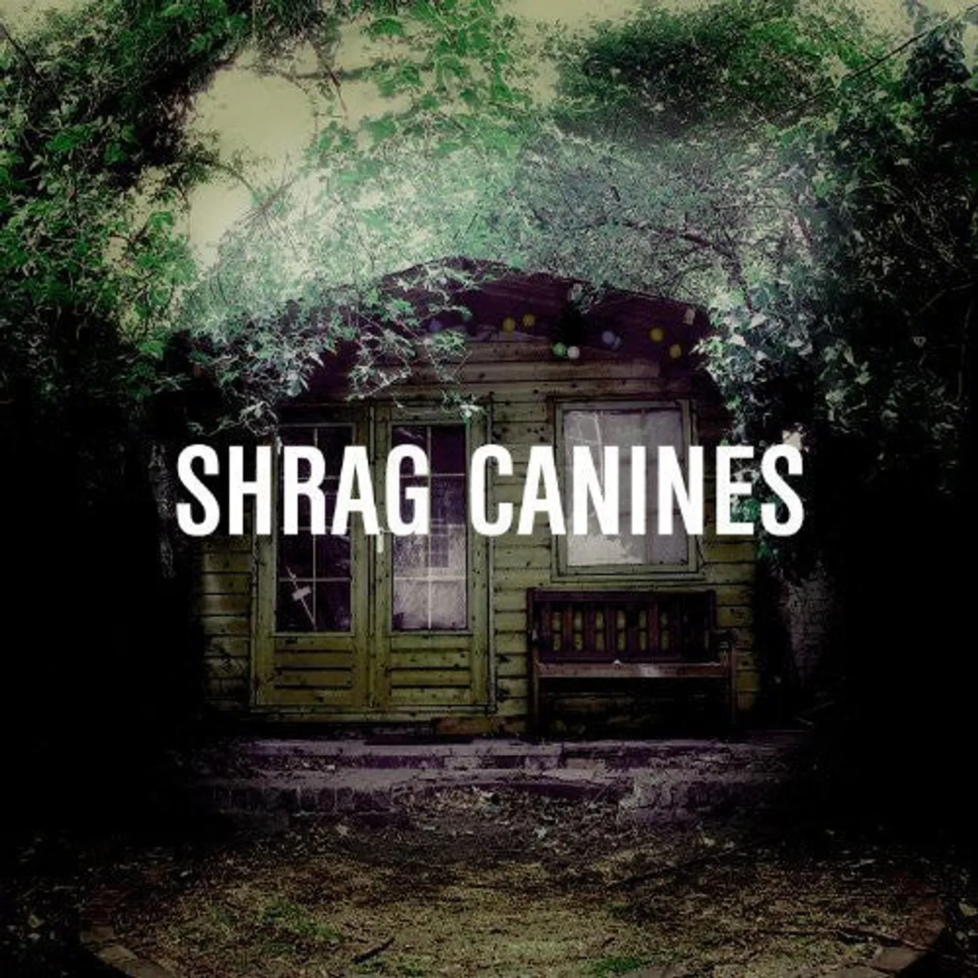 Shrag LP Vinyl - Canines (Uk)