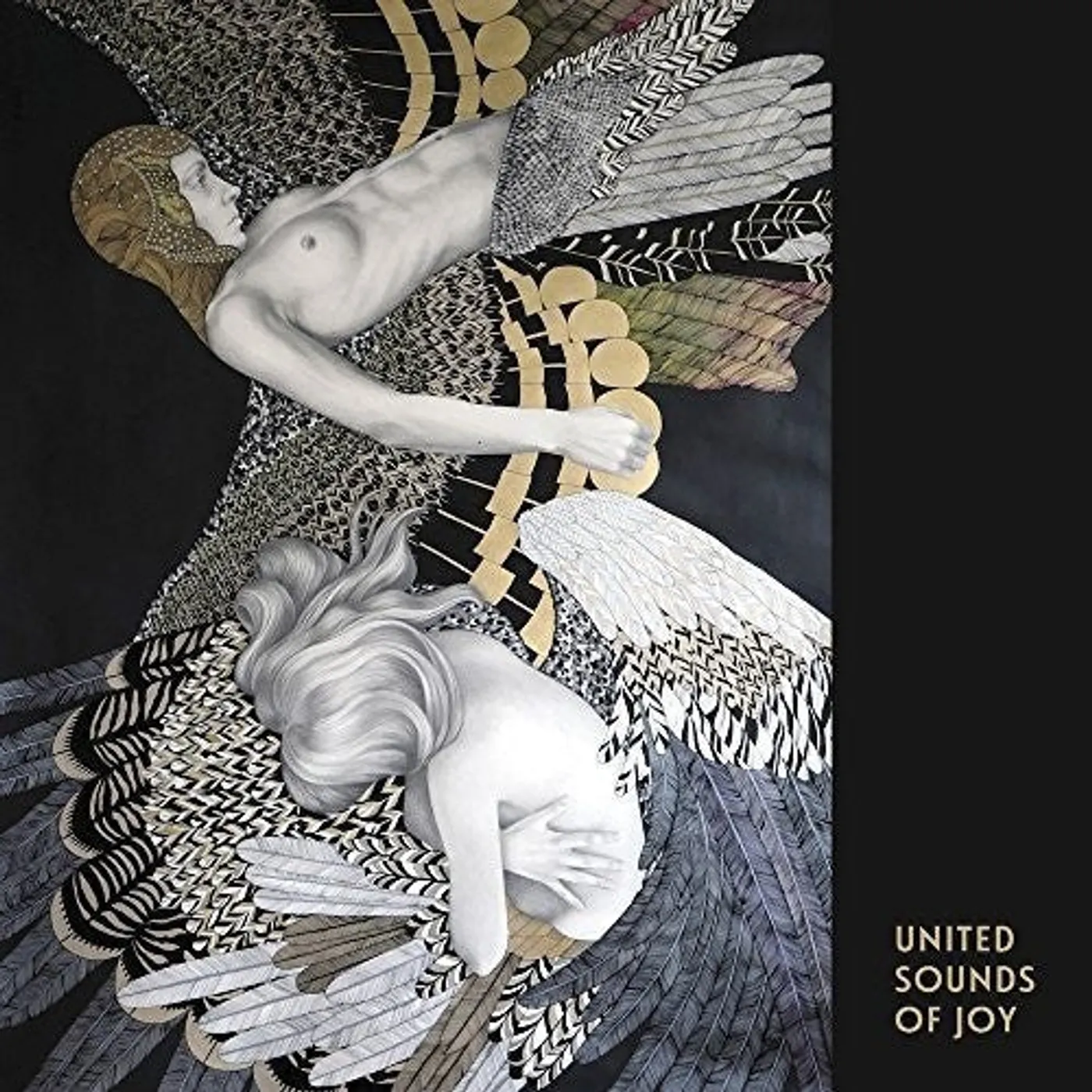 United Sounds Of Joy LP Vinyl - United Sounds Of Joy