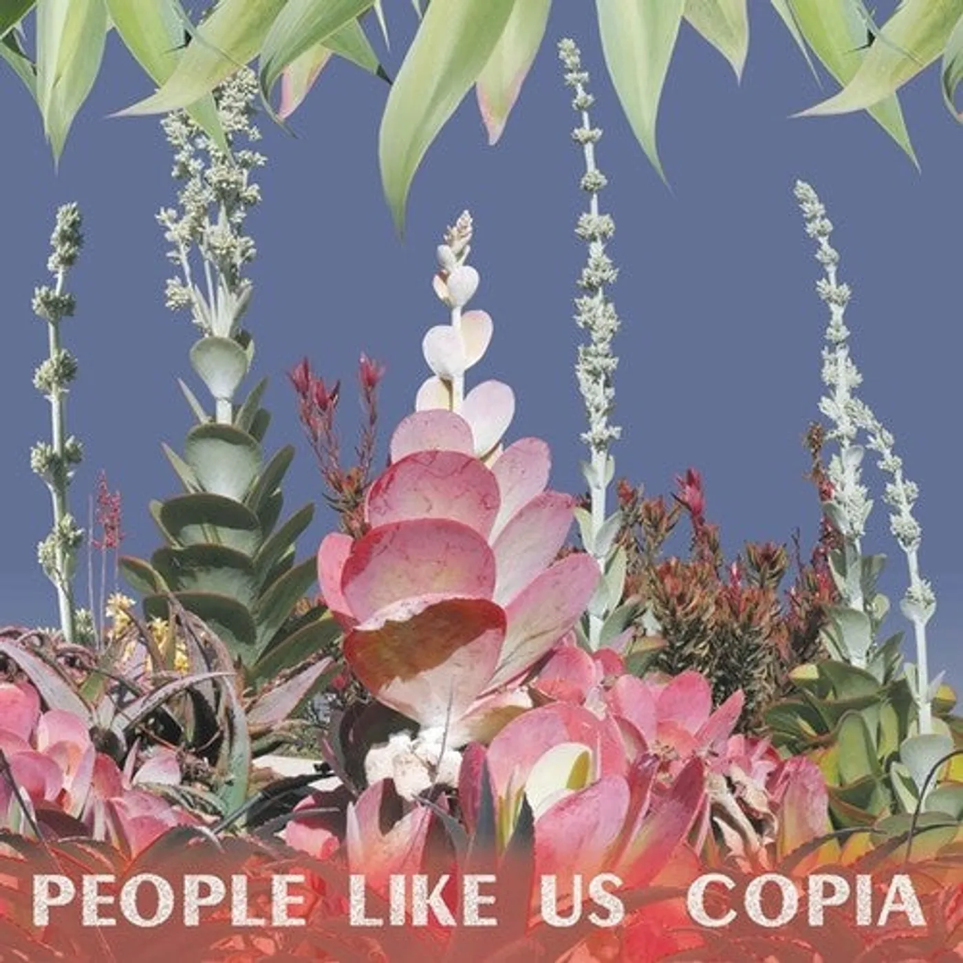People Like Us LP Vinyl - Copia