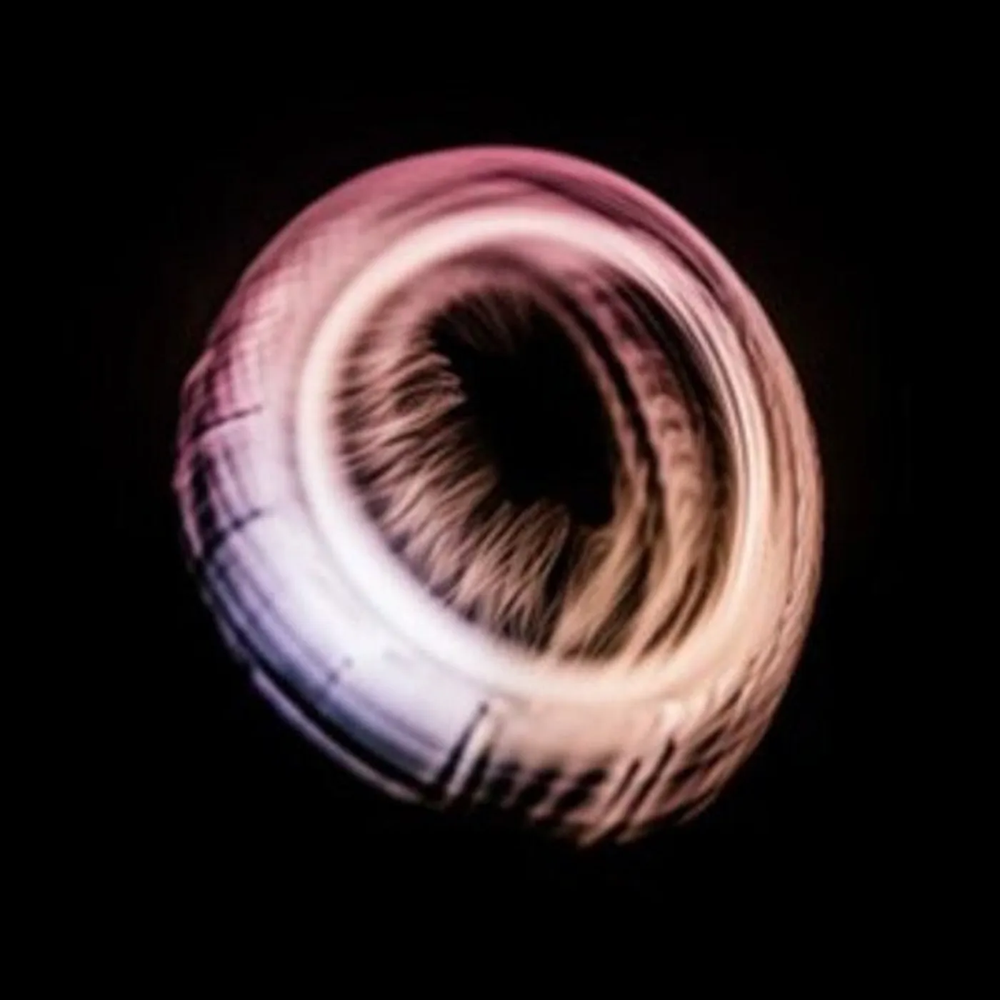 Emptyset LP Vinyl - Ash (Can)