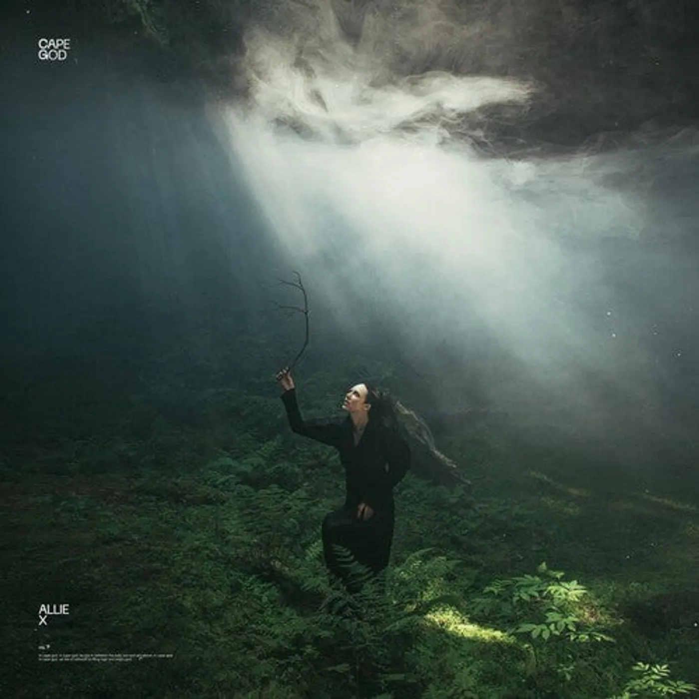 Allie X LP Vinyl - Cape God (Blk) (Ofgv)