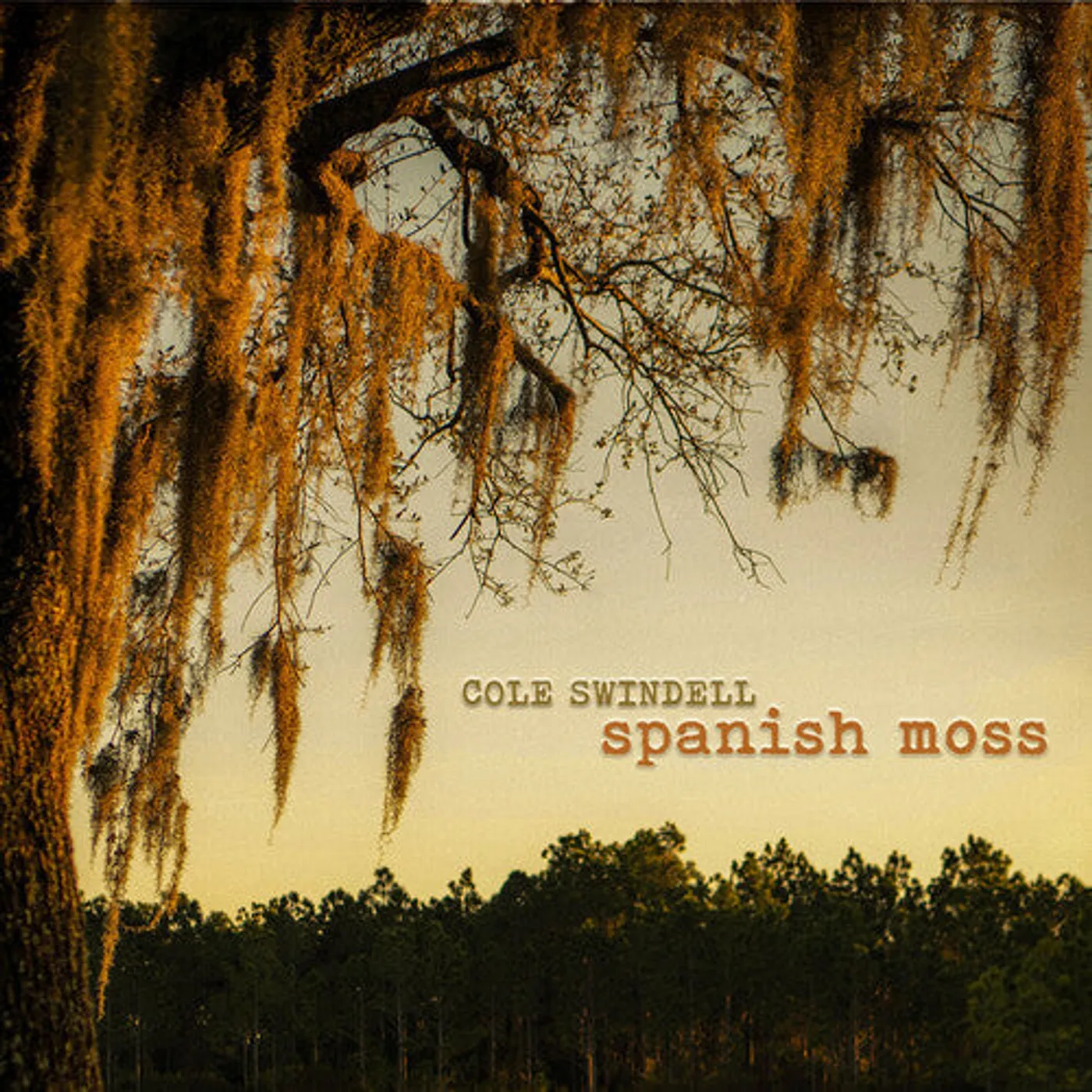 Cole Swindell LP Vinyl - Spanish Moss