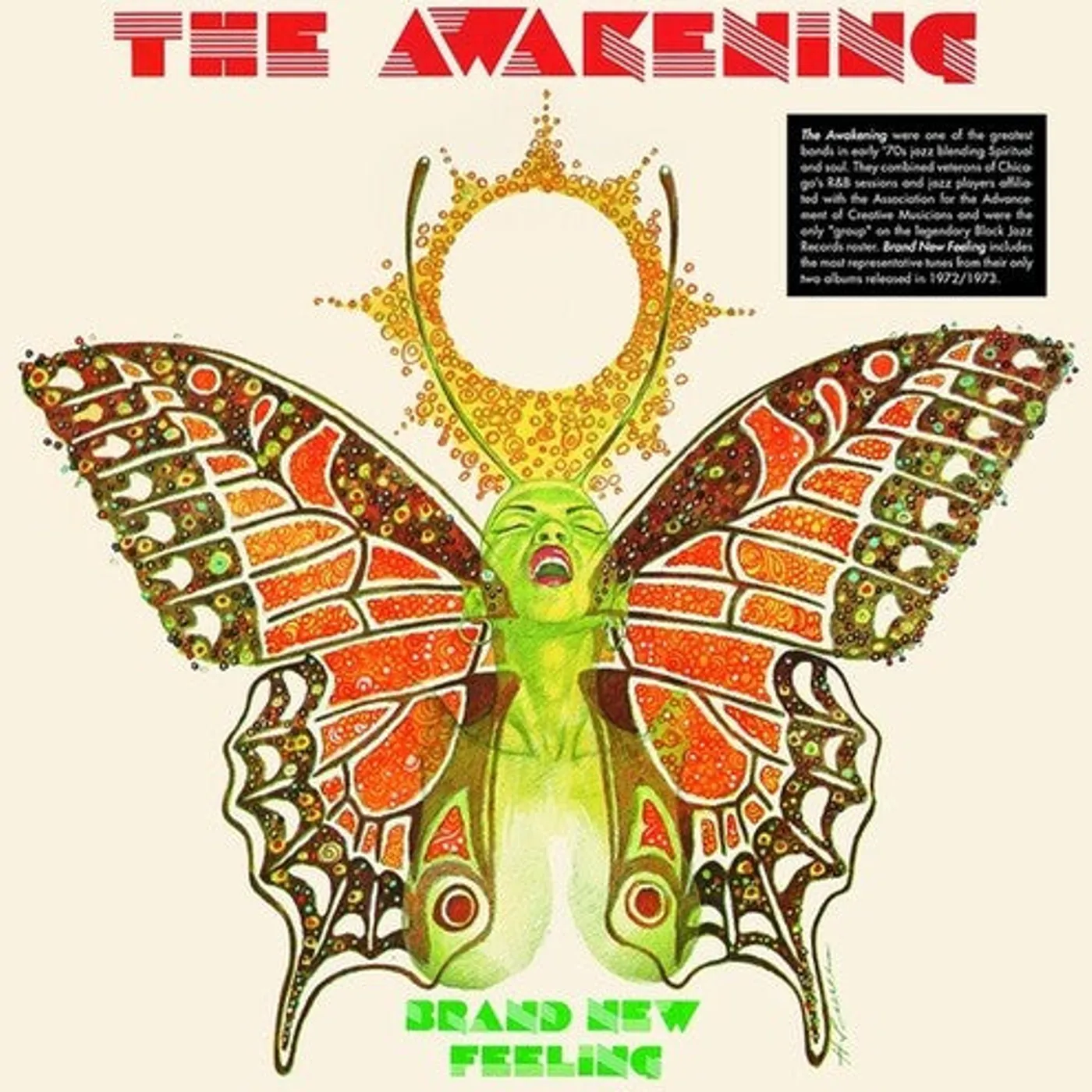 The Awakening LP Vinyl - Brand New Feeling