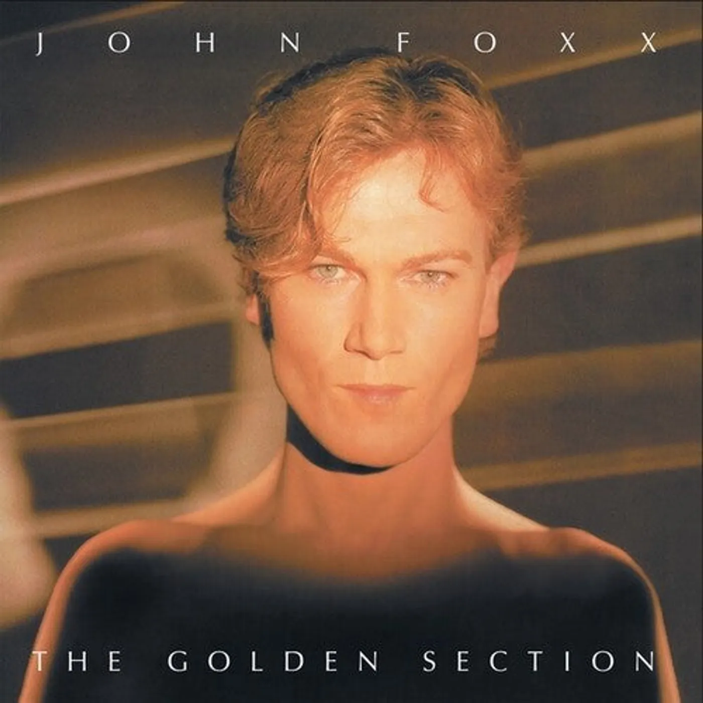 John Foxx LP Vinyl - Golden Section