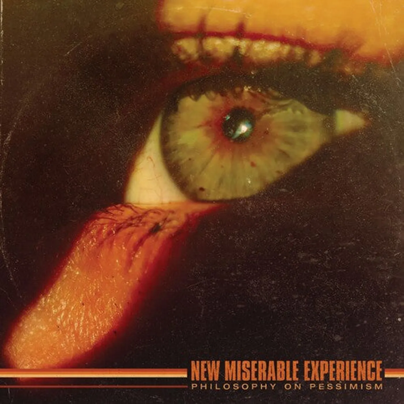 New Miserable Experience LP Vinyl - Philosophy On Pessimism